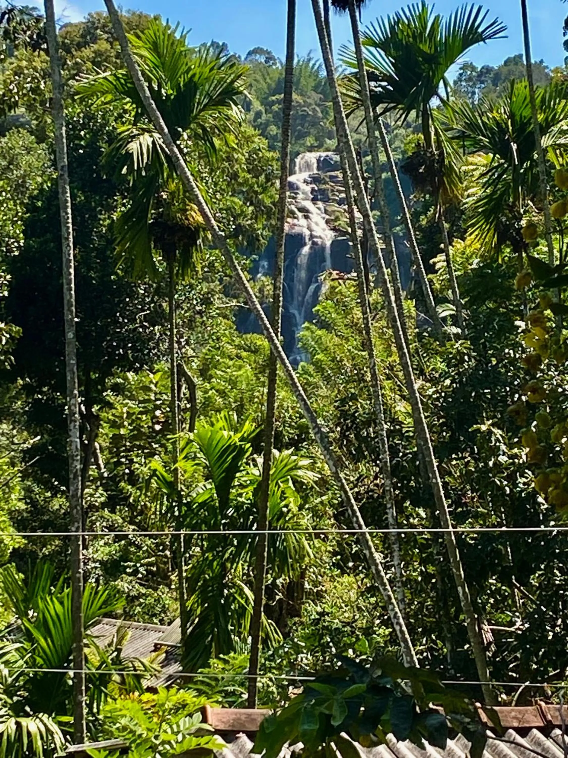 View (from property/room) in Cozy Homestay Waterfall Road Ella