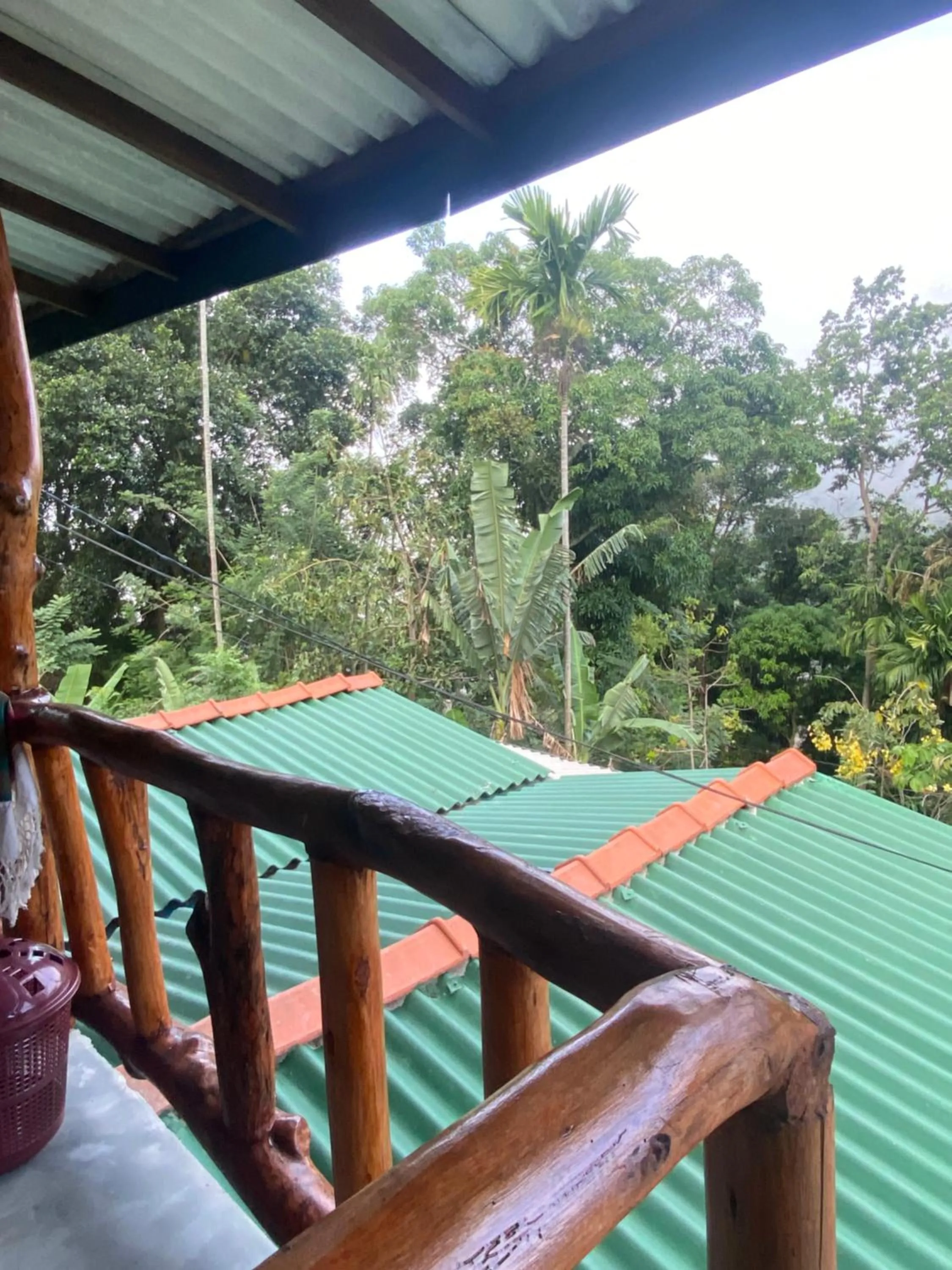View (from property/room) in Cozy Homestay Waterfall Road Ella