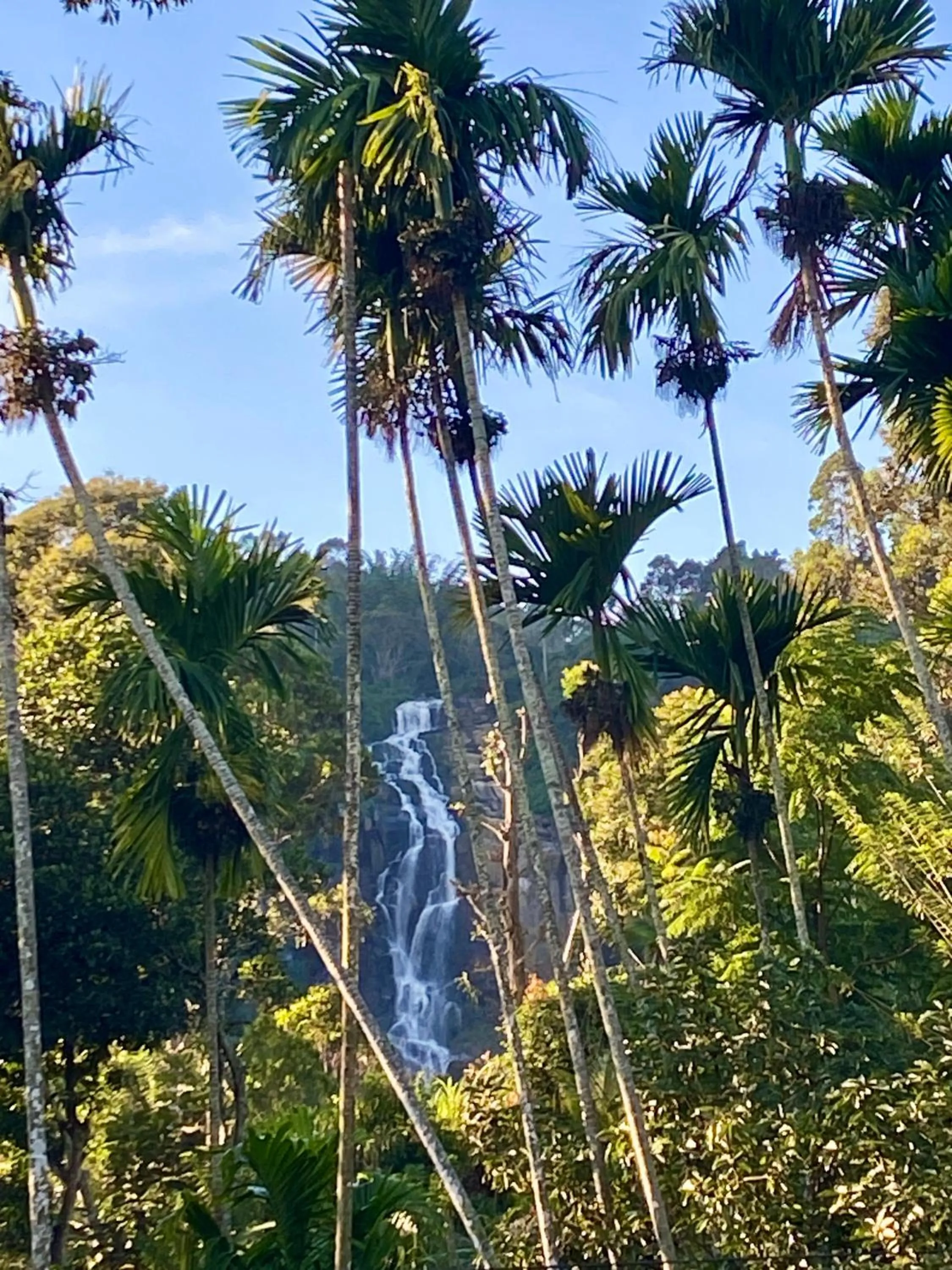 View (from property/room) in Cozy Homestay Waterfall Road Ella