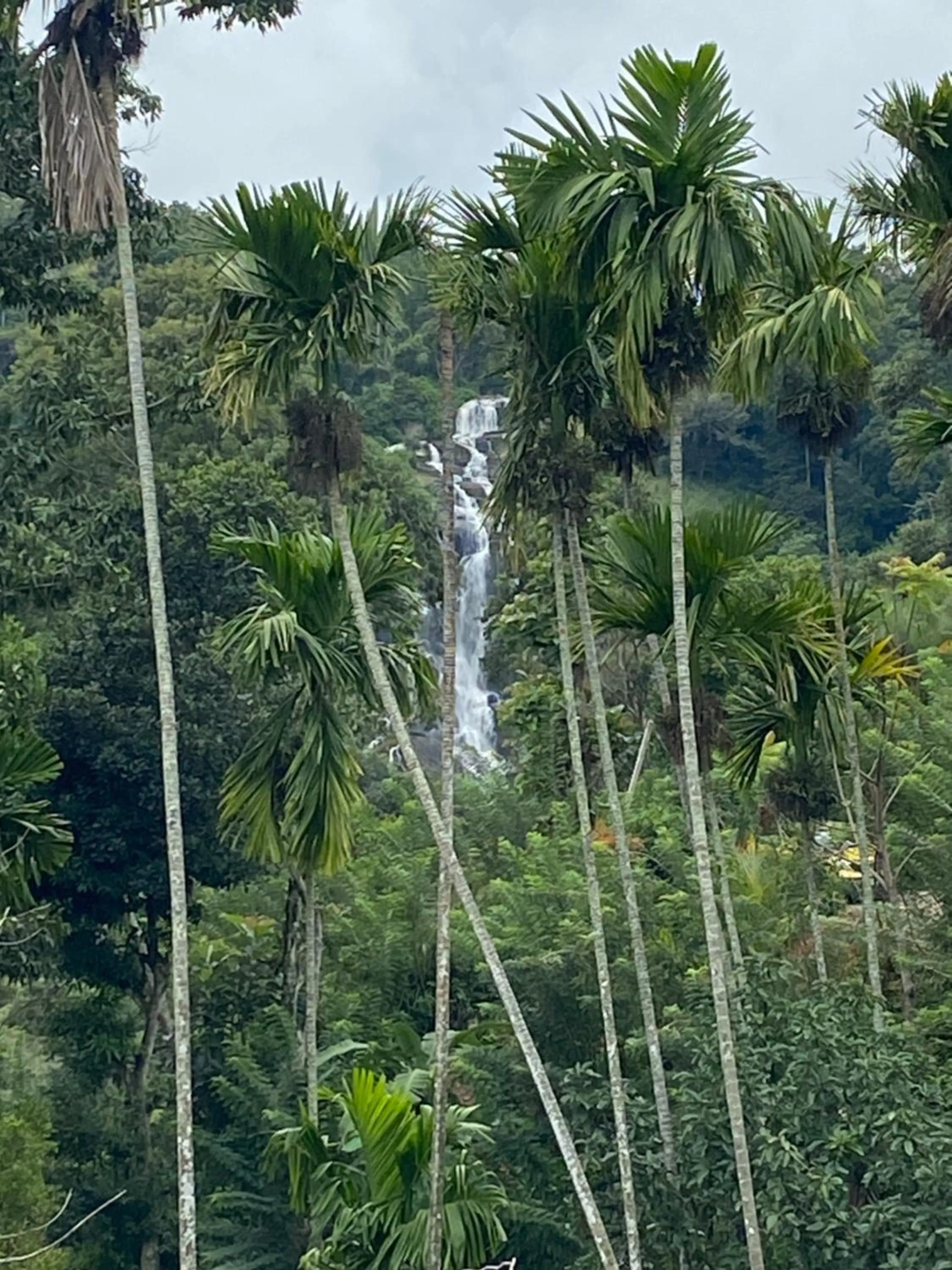 Natural landscape in Cozy Homestay Waterfall Road Ella