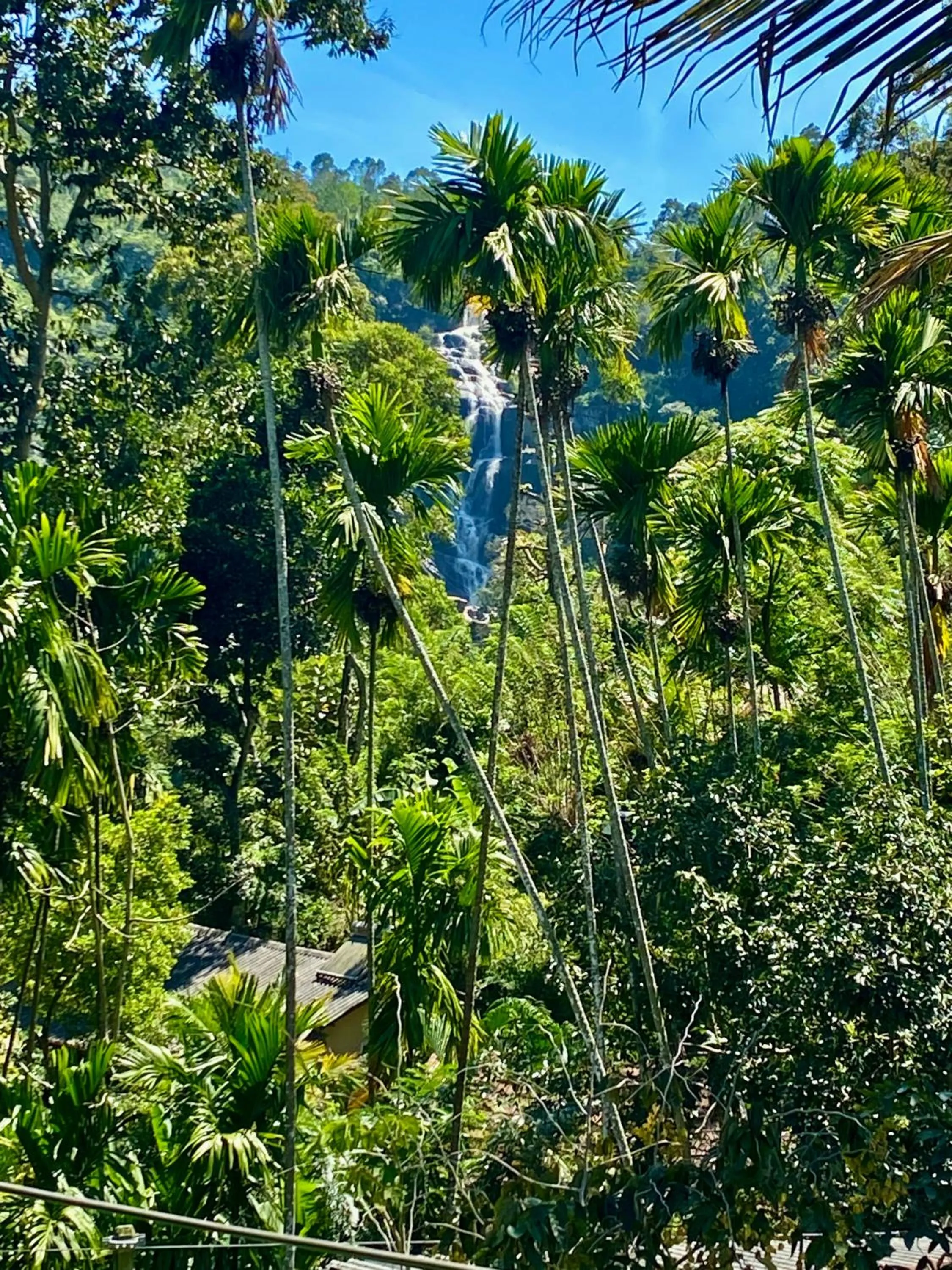 View (from property/room) in Cozy Homestay Waterfall Road Ella