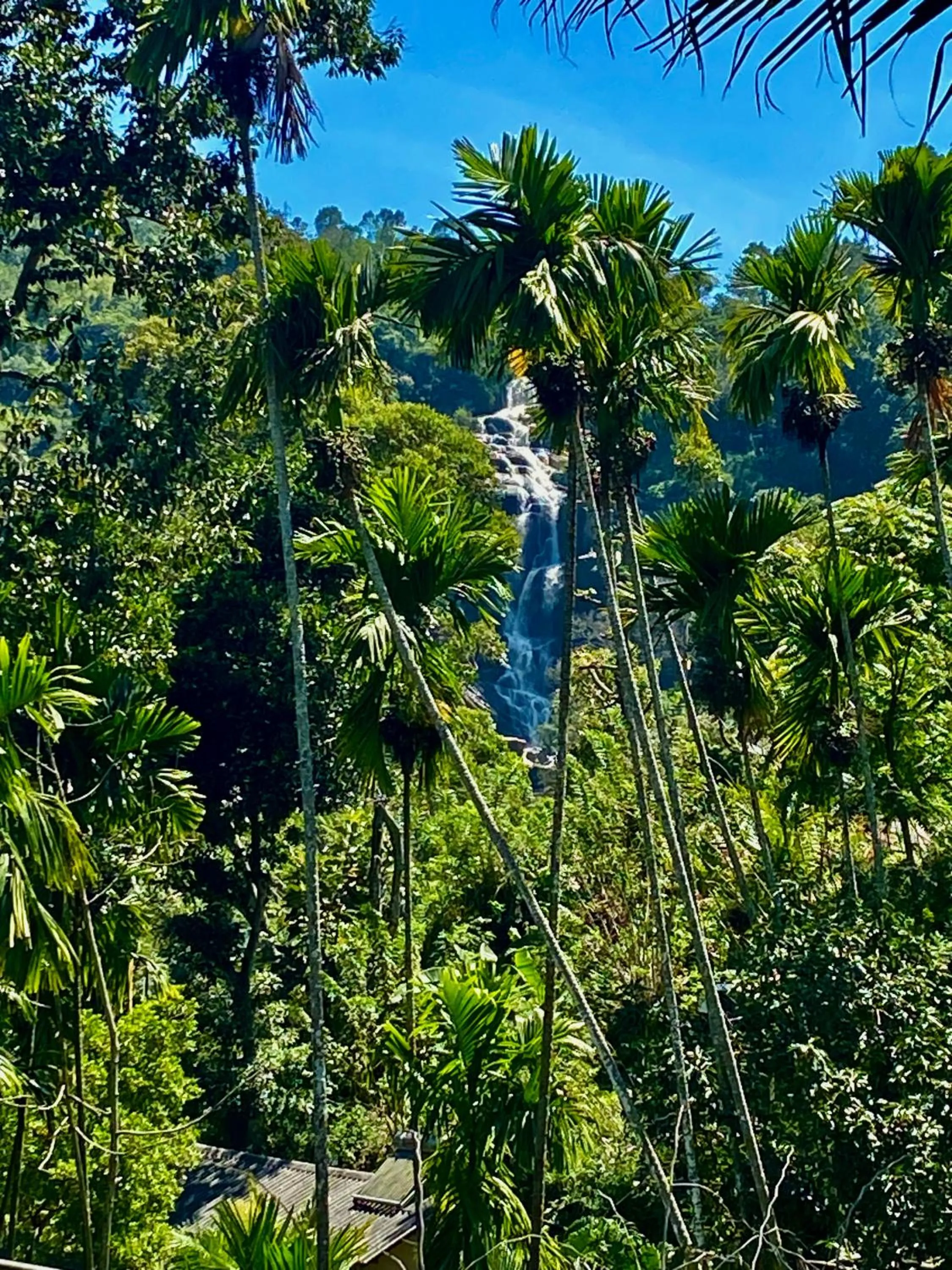 View (from property/room) in Cozy Homestay Waterfall Road Ella