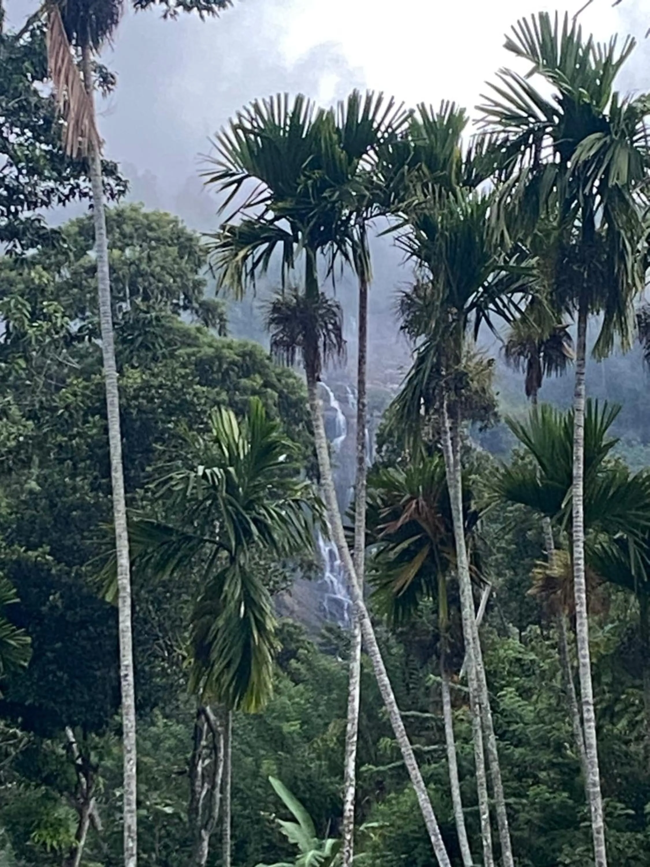 View (from property/room) in Cozy Homestay Waterfall Road Ella