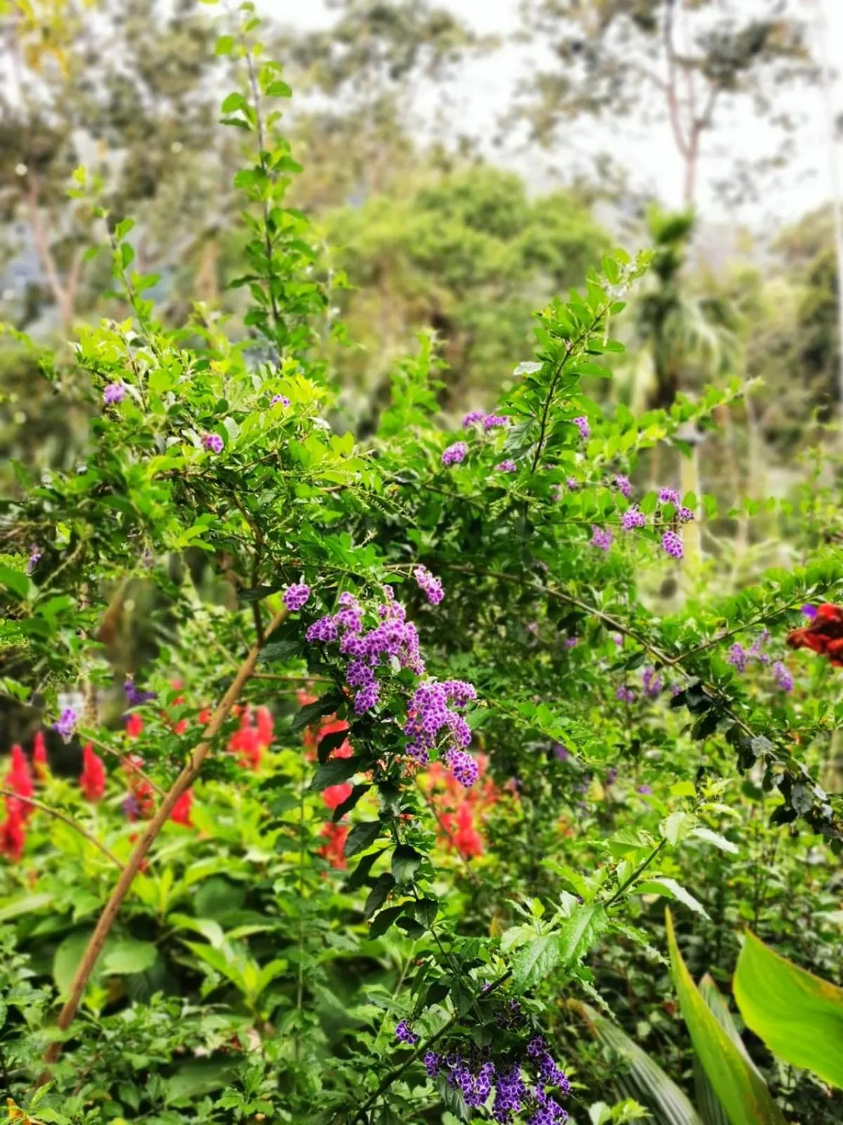 Natural landscape in Cozy Homestay Waterfall Road Ella