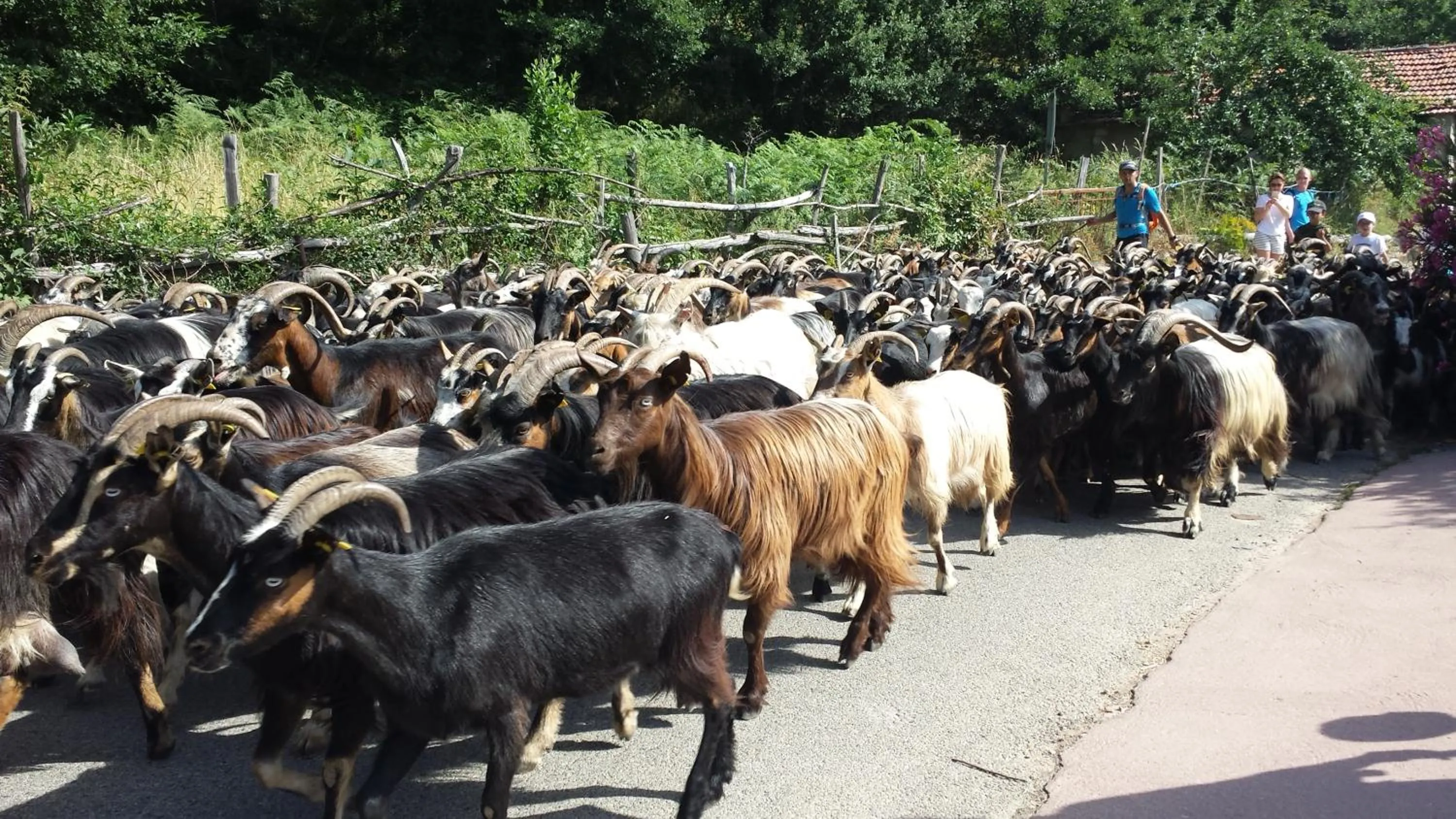 Off site in Artemisia Boutique Hotel