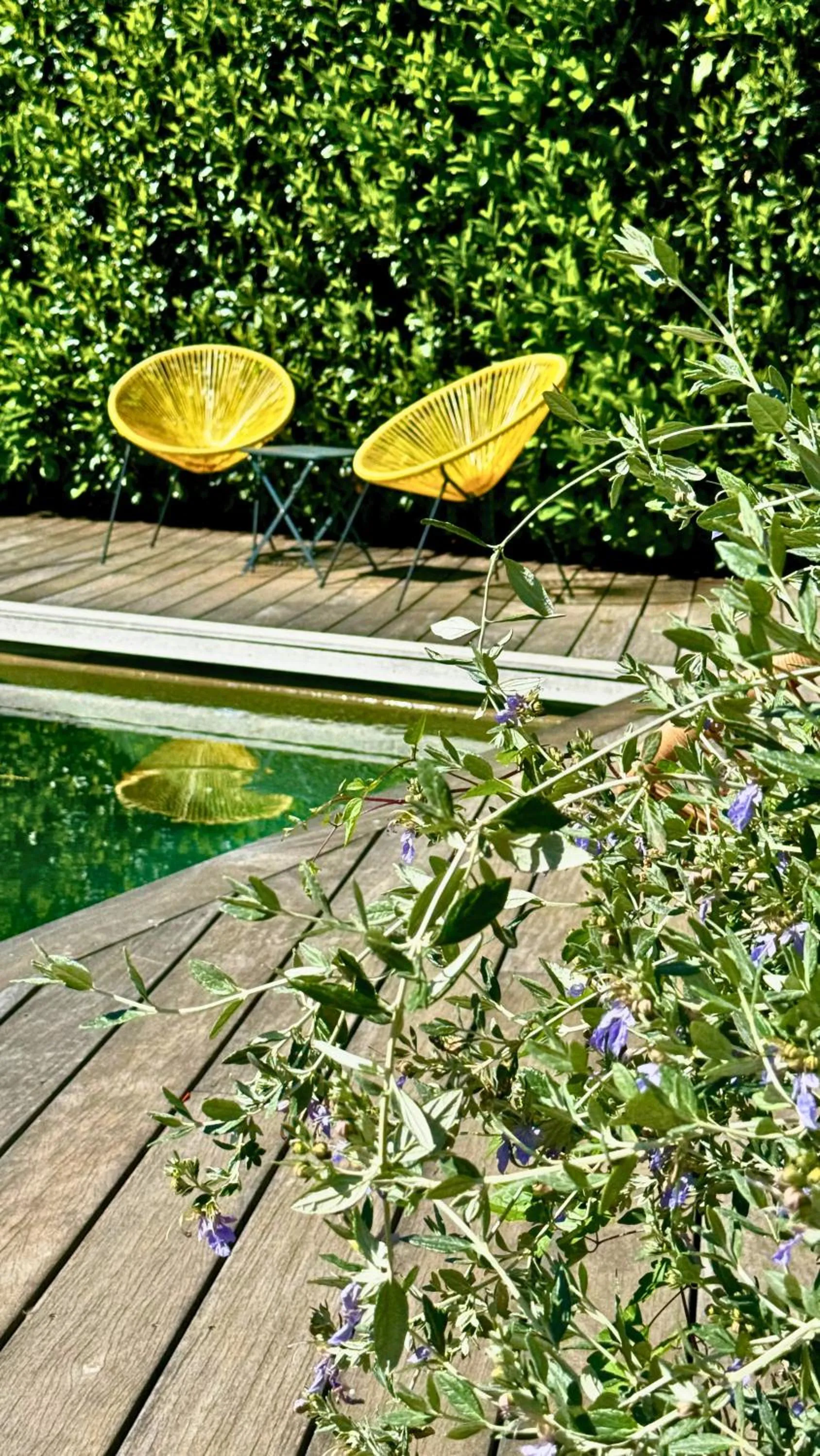 Patio in Artemisia Boutique Hotel
