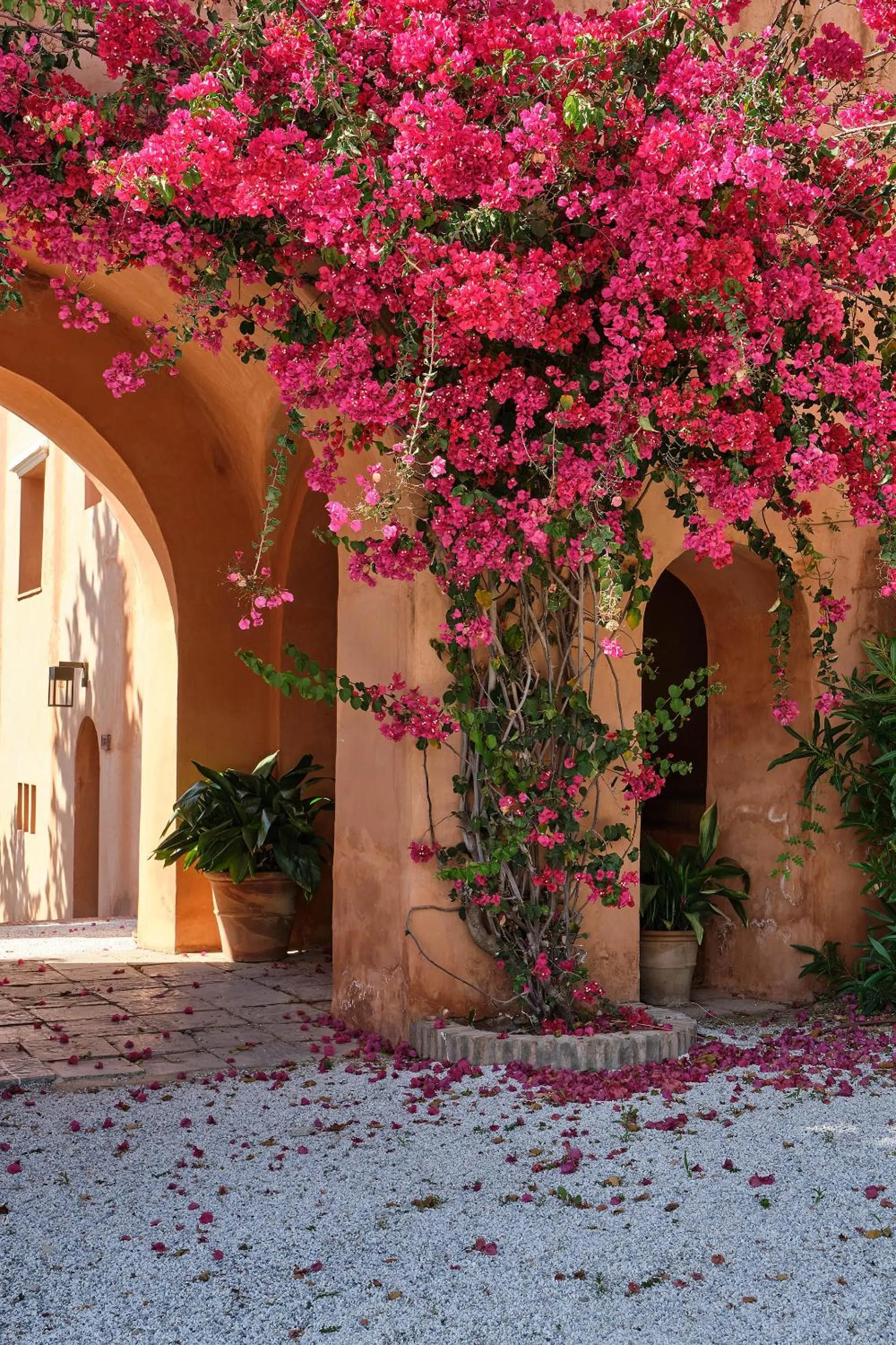 Patio in Soho Boutique Castillo de Santa Catalina - Adults Recommended