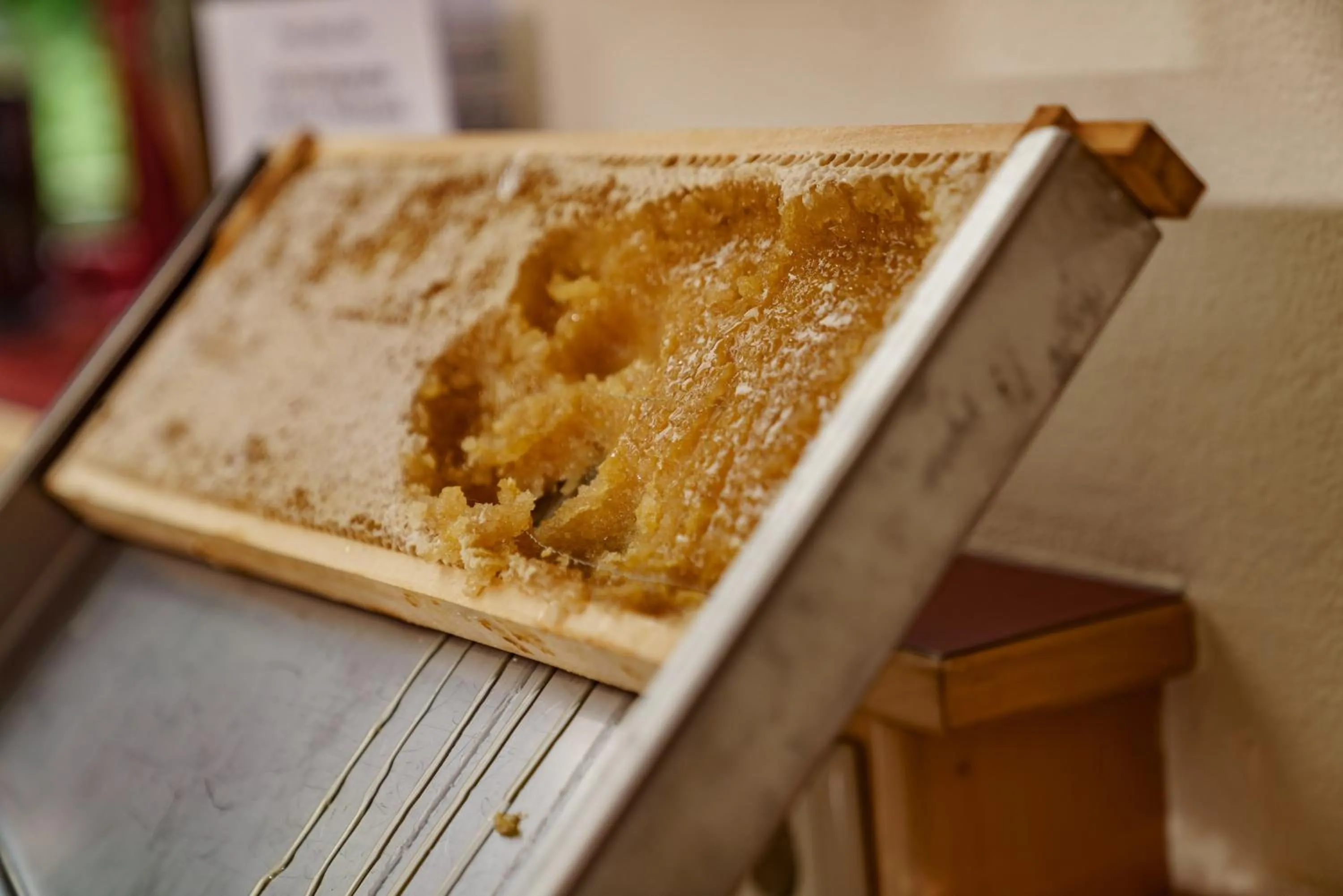 Food in Panoramahotel Gürtl