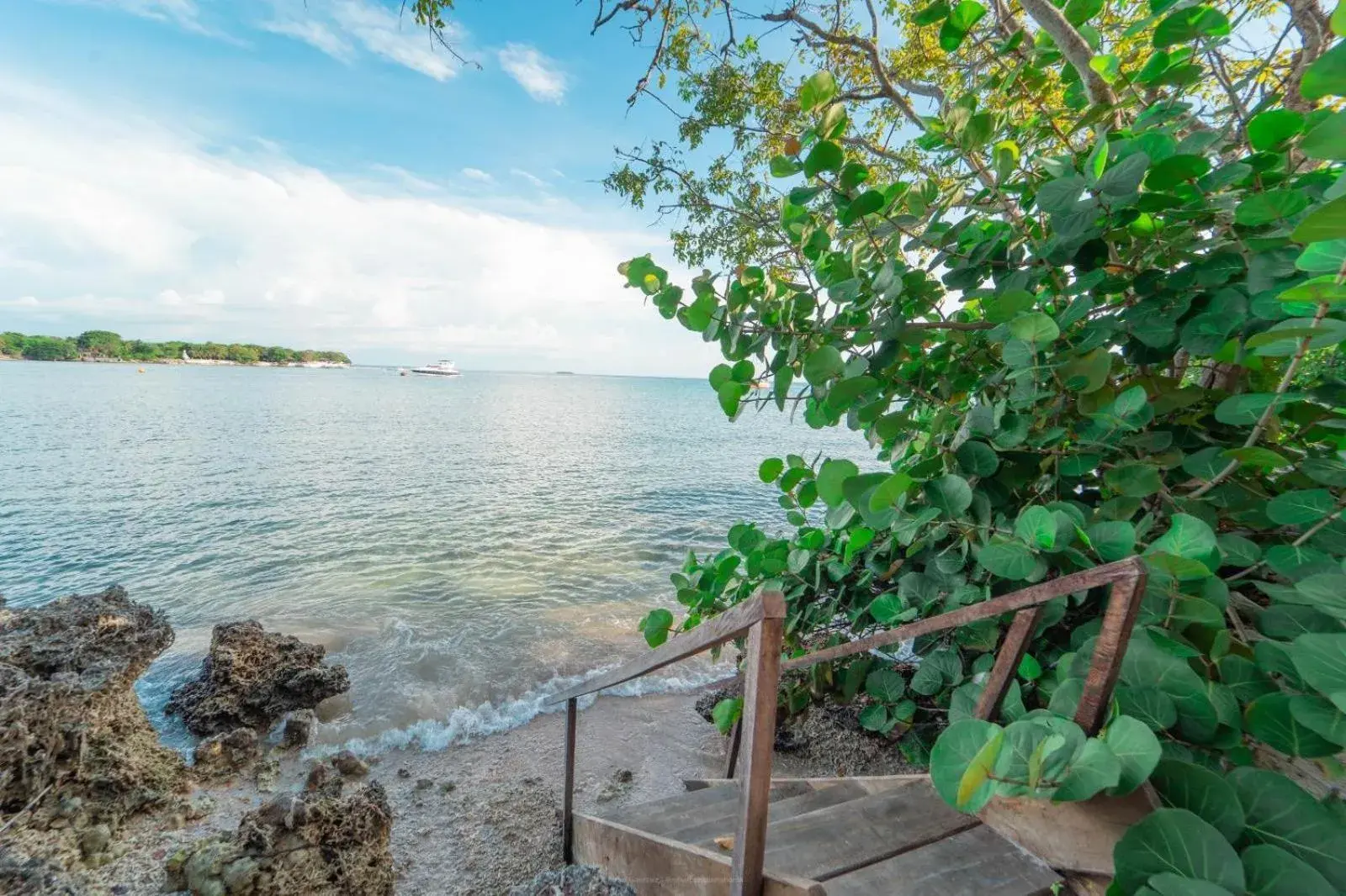 Bungalow with Sea View - single occupancy in Hotel Islabela Islas Del Rosario Bungalow with Sea View - single occupancy in Hotel Islabela Islas Del Rosario