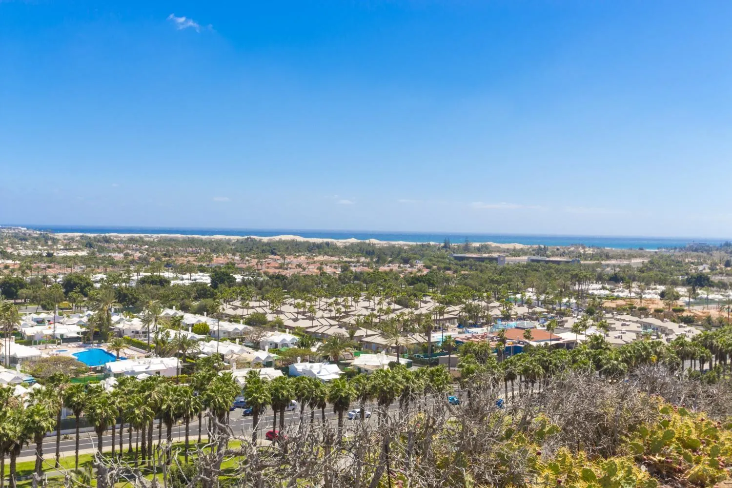 Property building in Vista Oasis