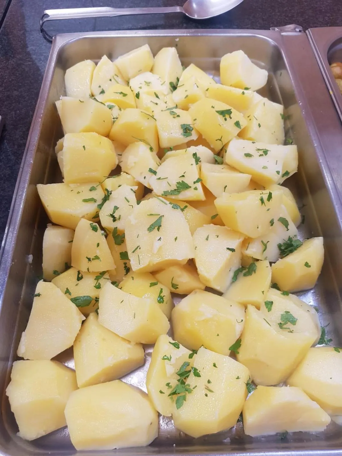 Dinner in Vista Oasis