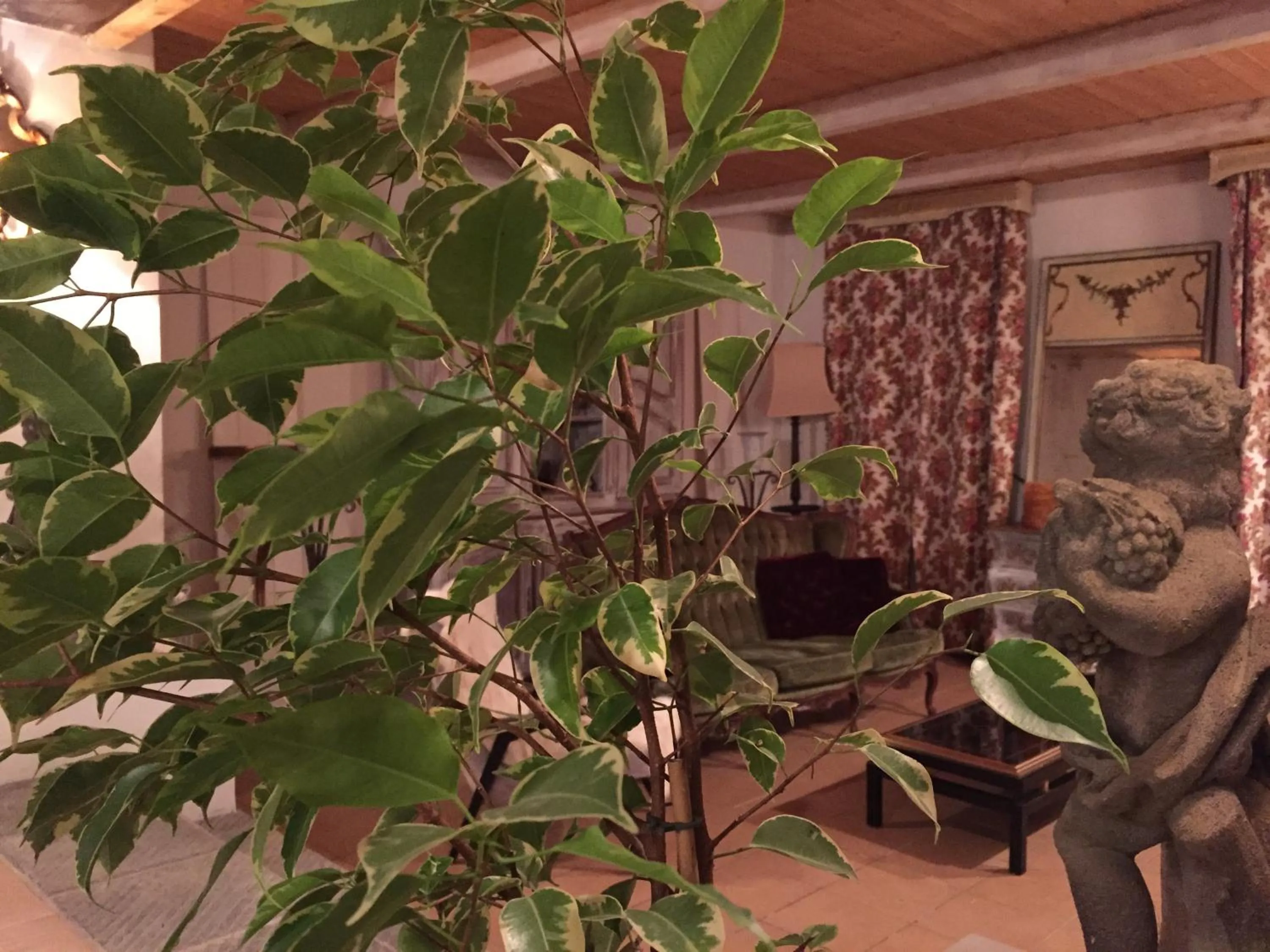 TV and multimedia in Cascina la castagnara