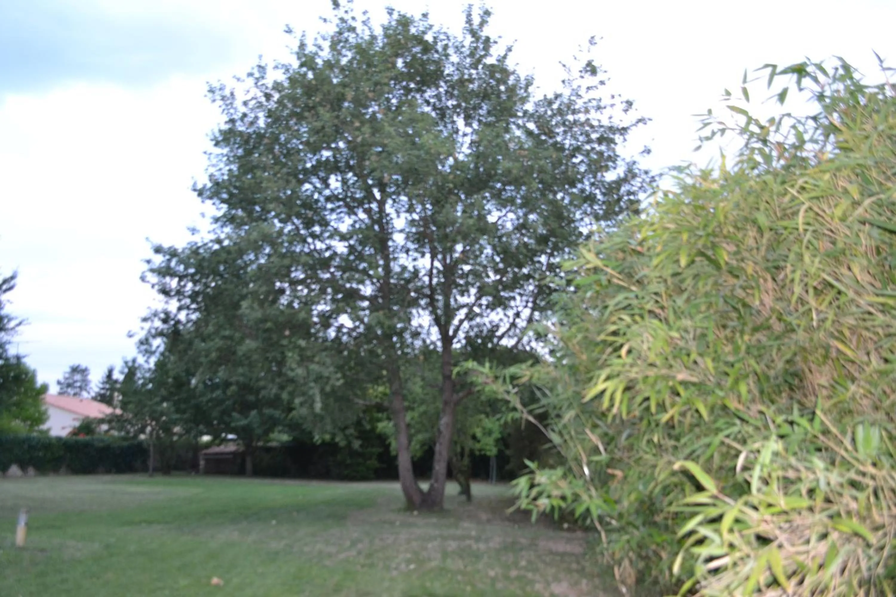 Garden in La maison de Thiré