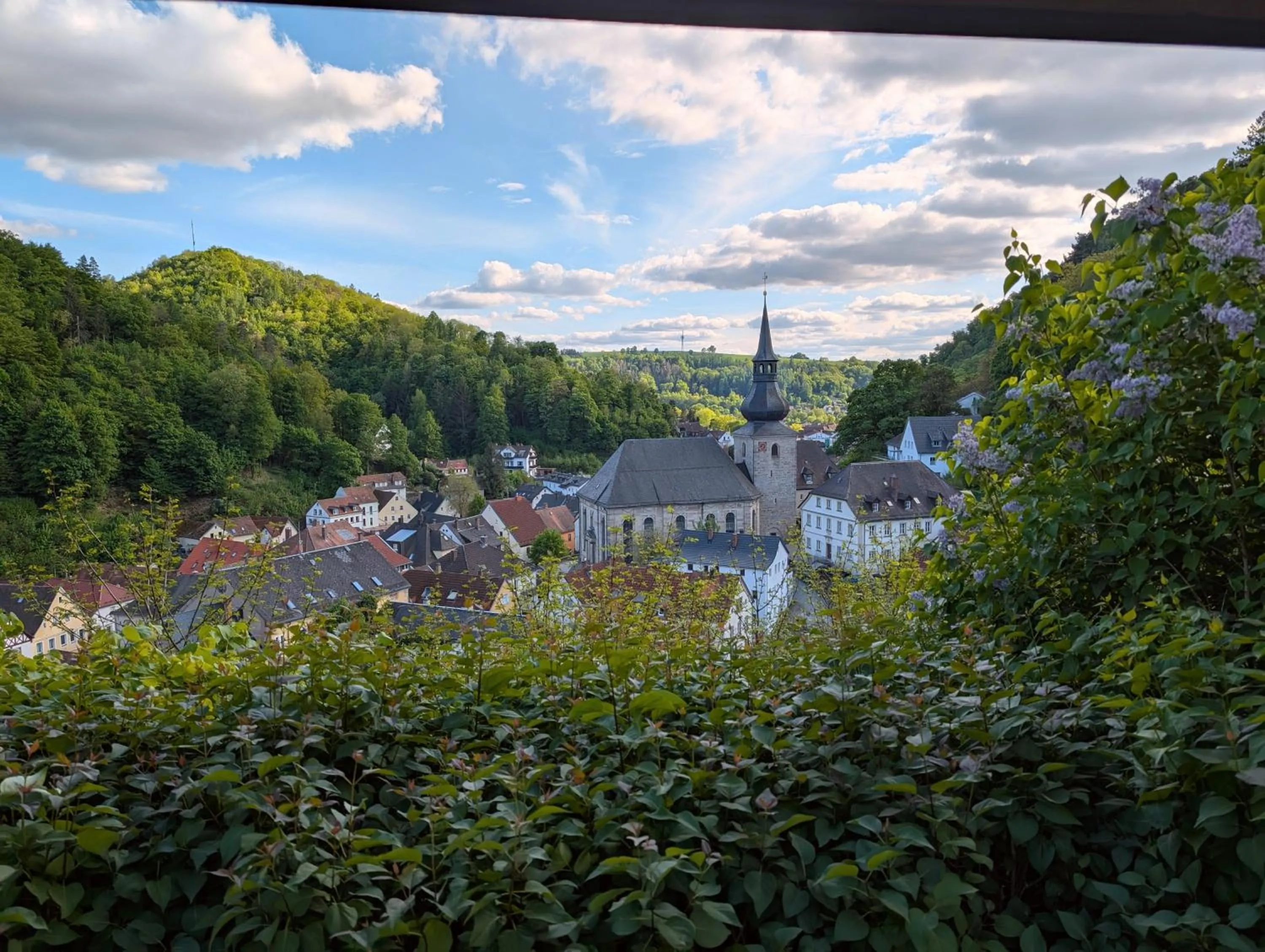 Natural landscape in Hotel Pension Blüchersruh