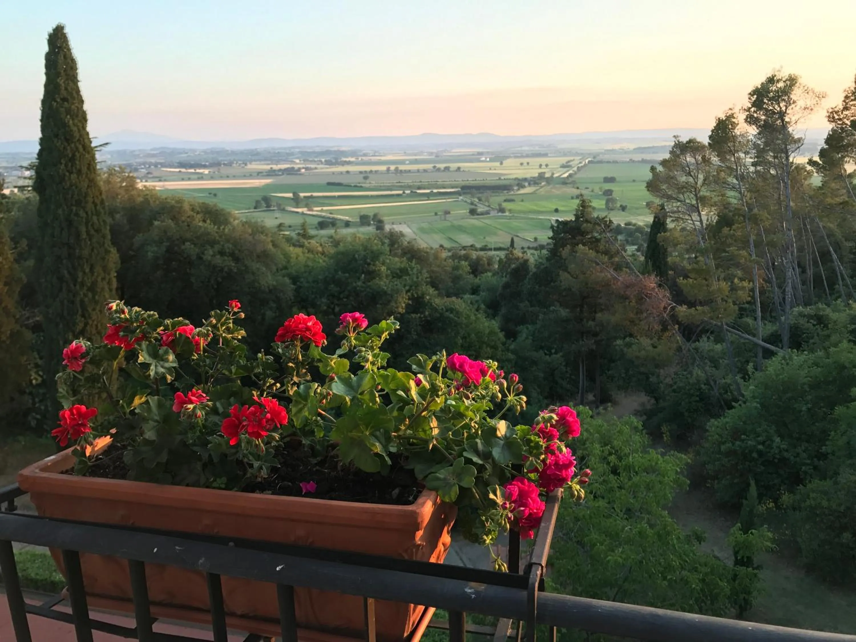 Natural landscape in Villa Schiatti