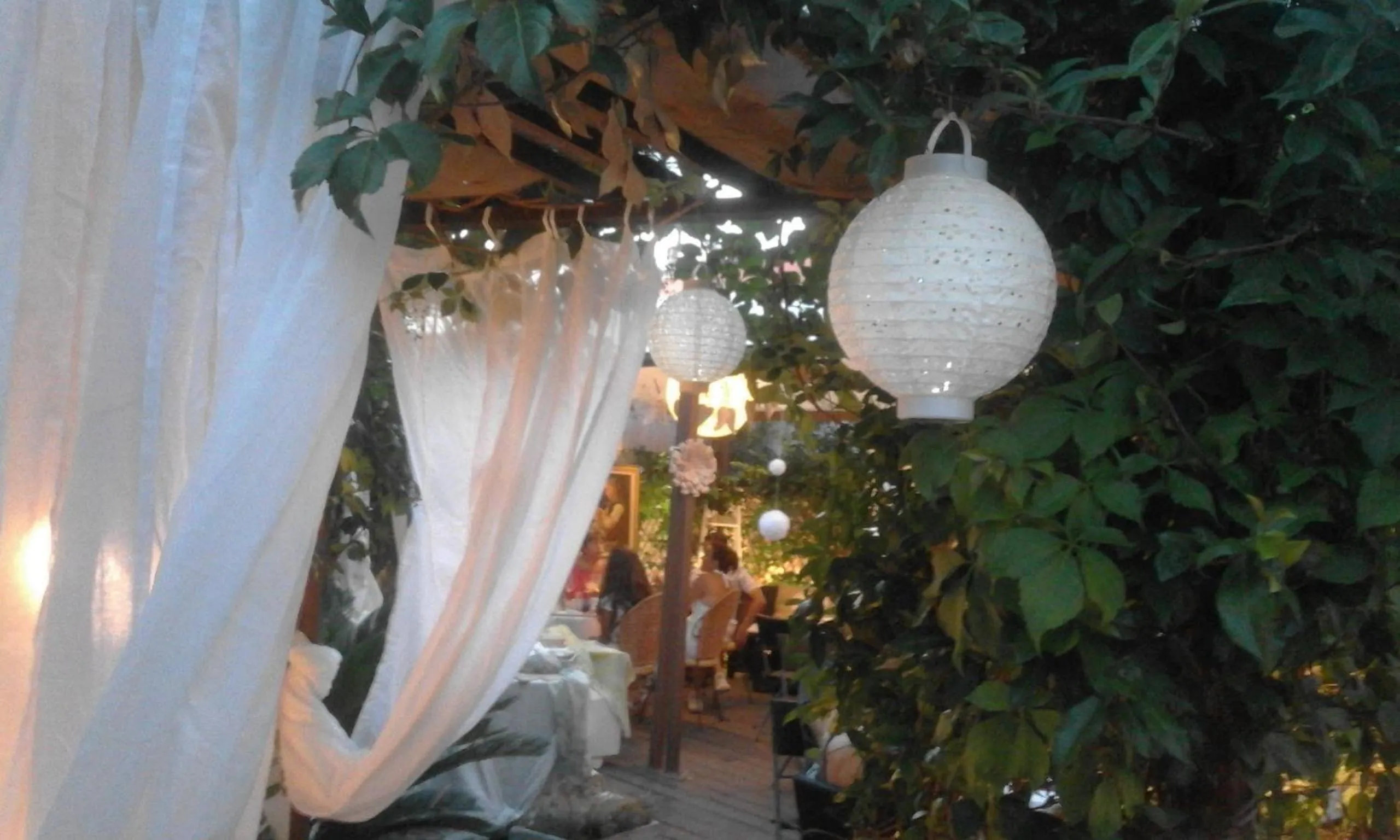 Garden in Hotel Moderno