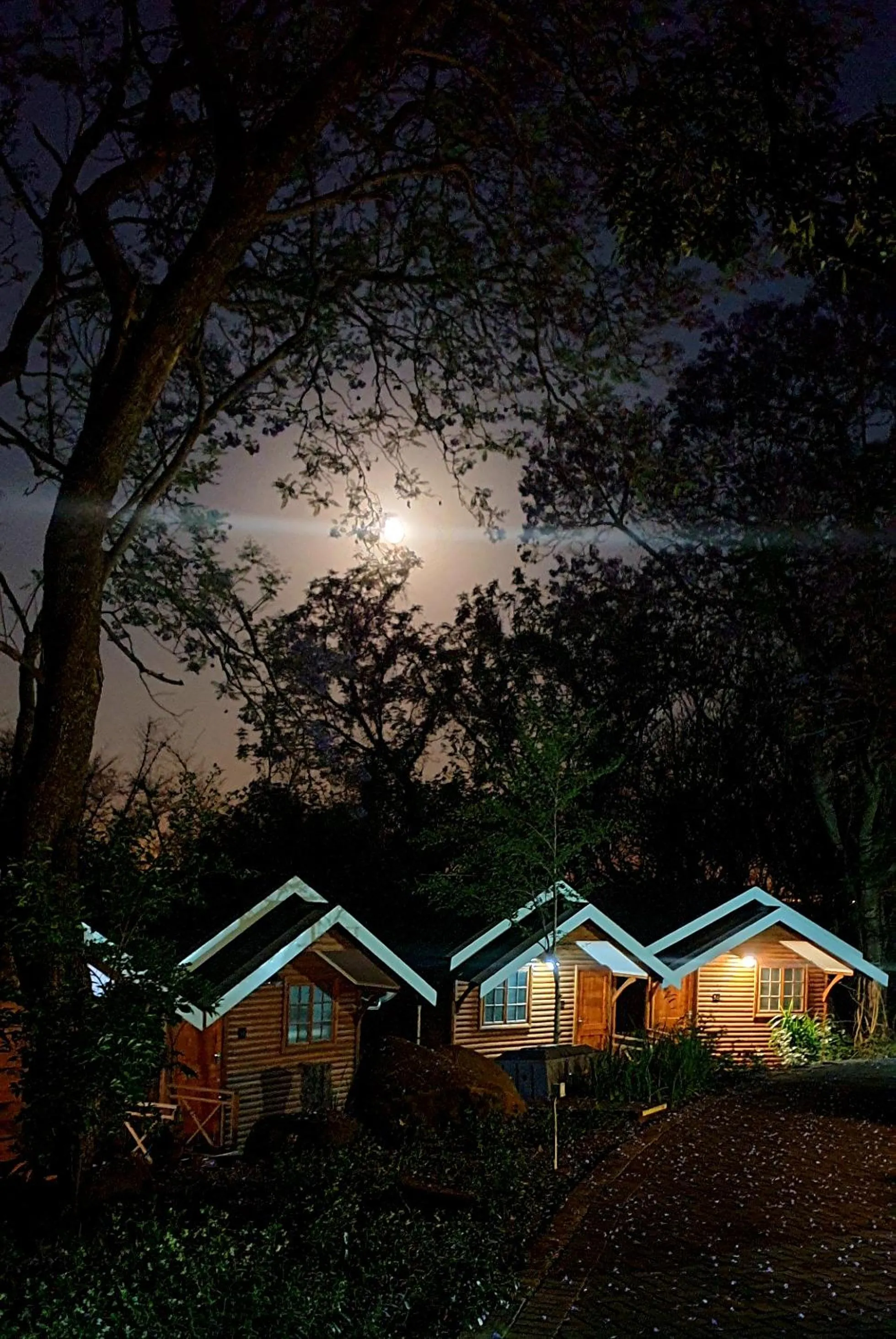 Property building in Haggards on Hilldrop