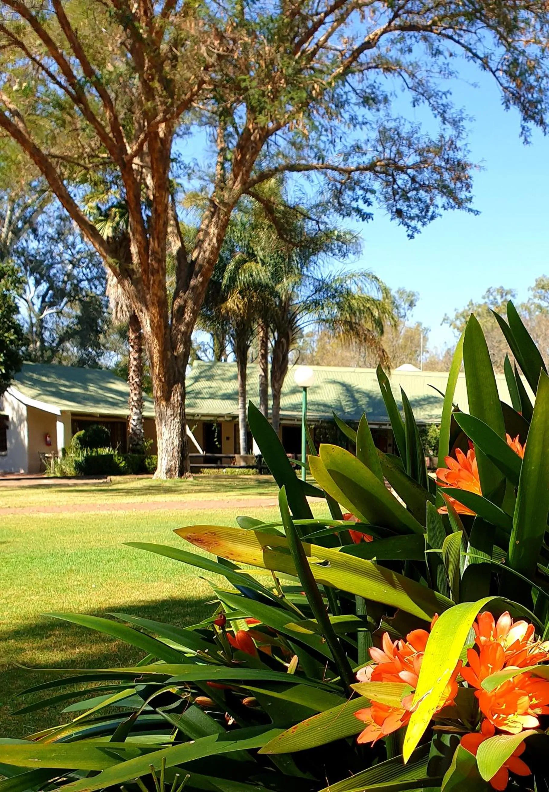 Garden in Haggards on Hilldrop