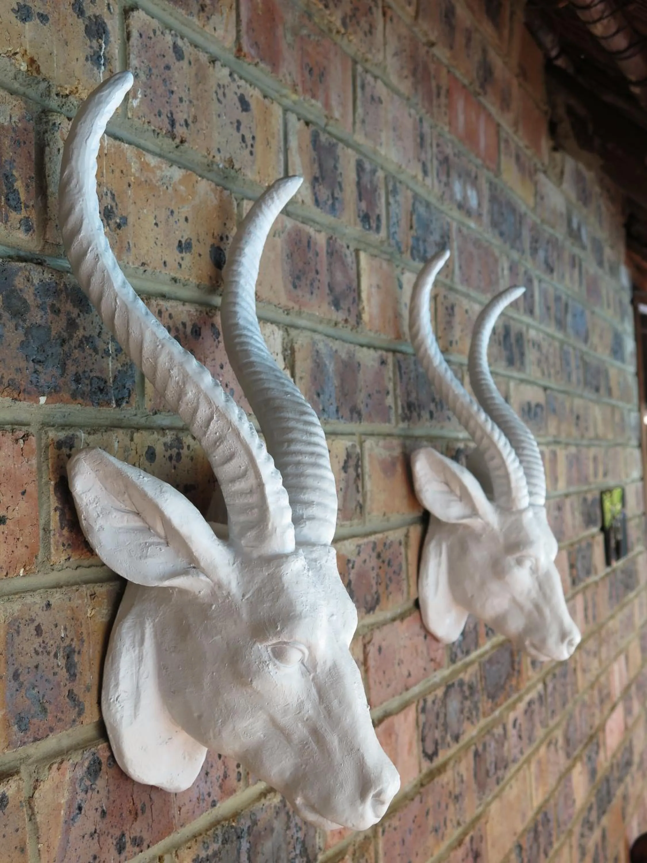 Swimming pool in Haggards on Hilldrop