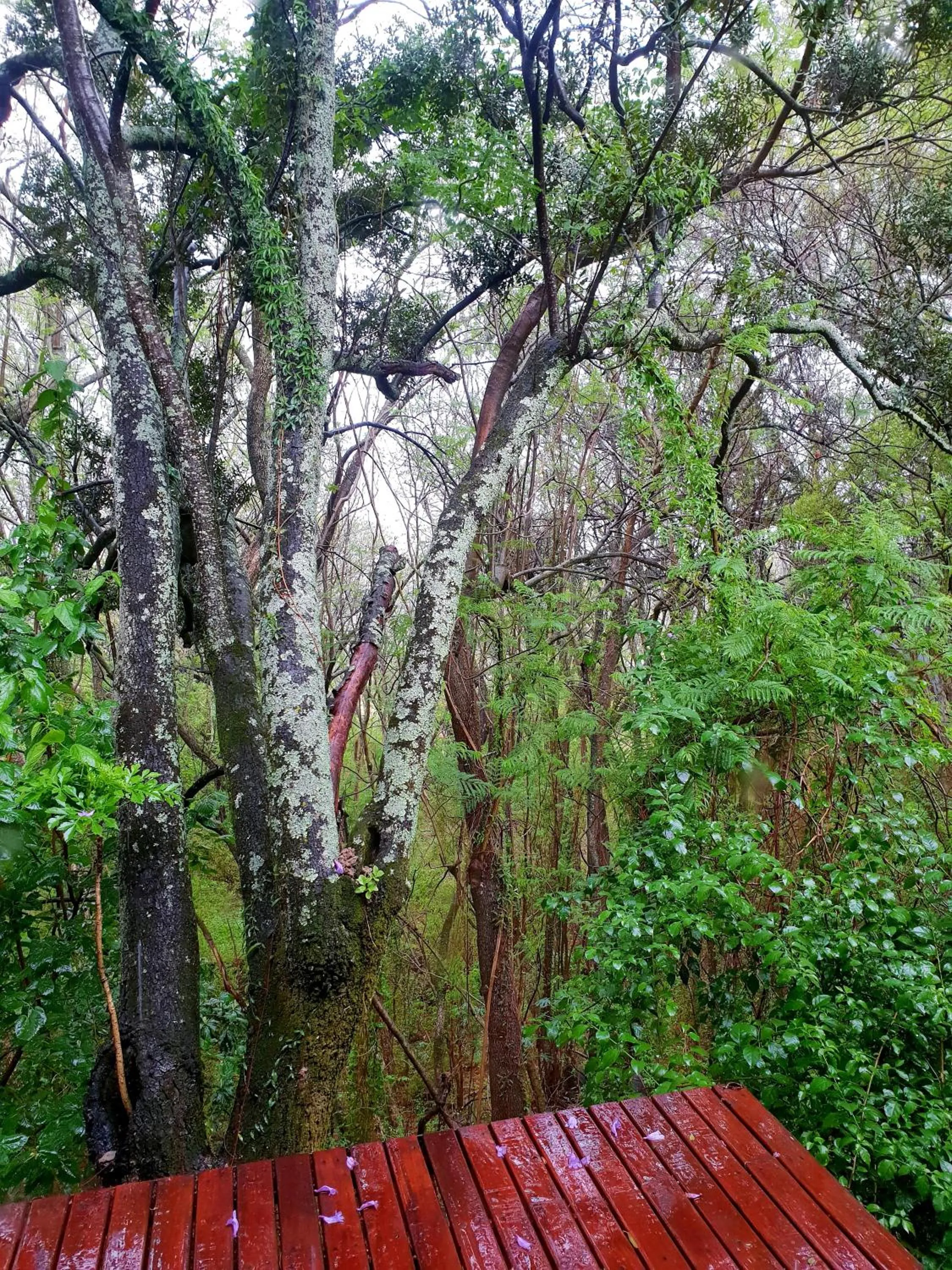 Natural landscape in Haggards on Hilldrop