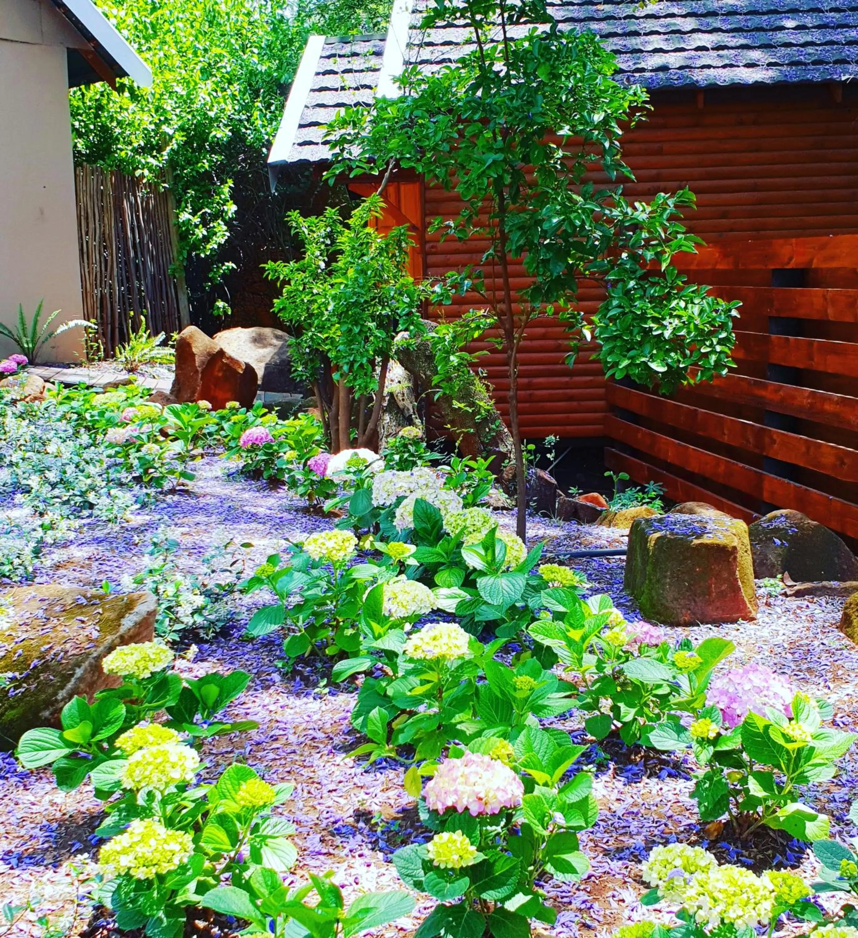 Patio in Haggards on Hilldrop