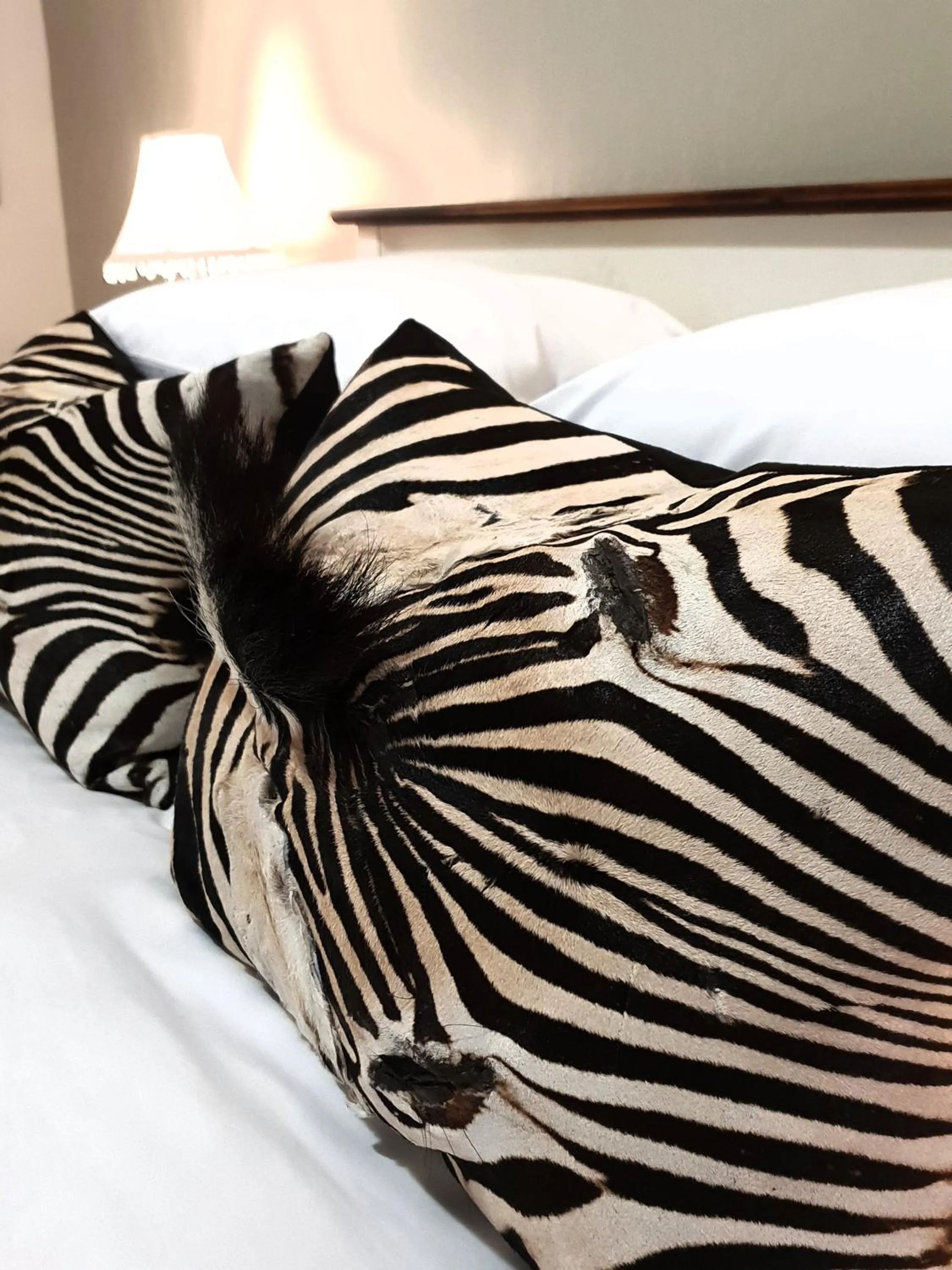 Bed in Haggards on Hilldrop