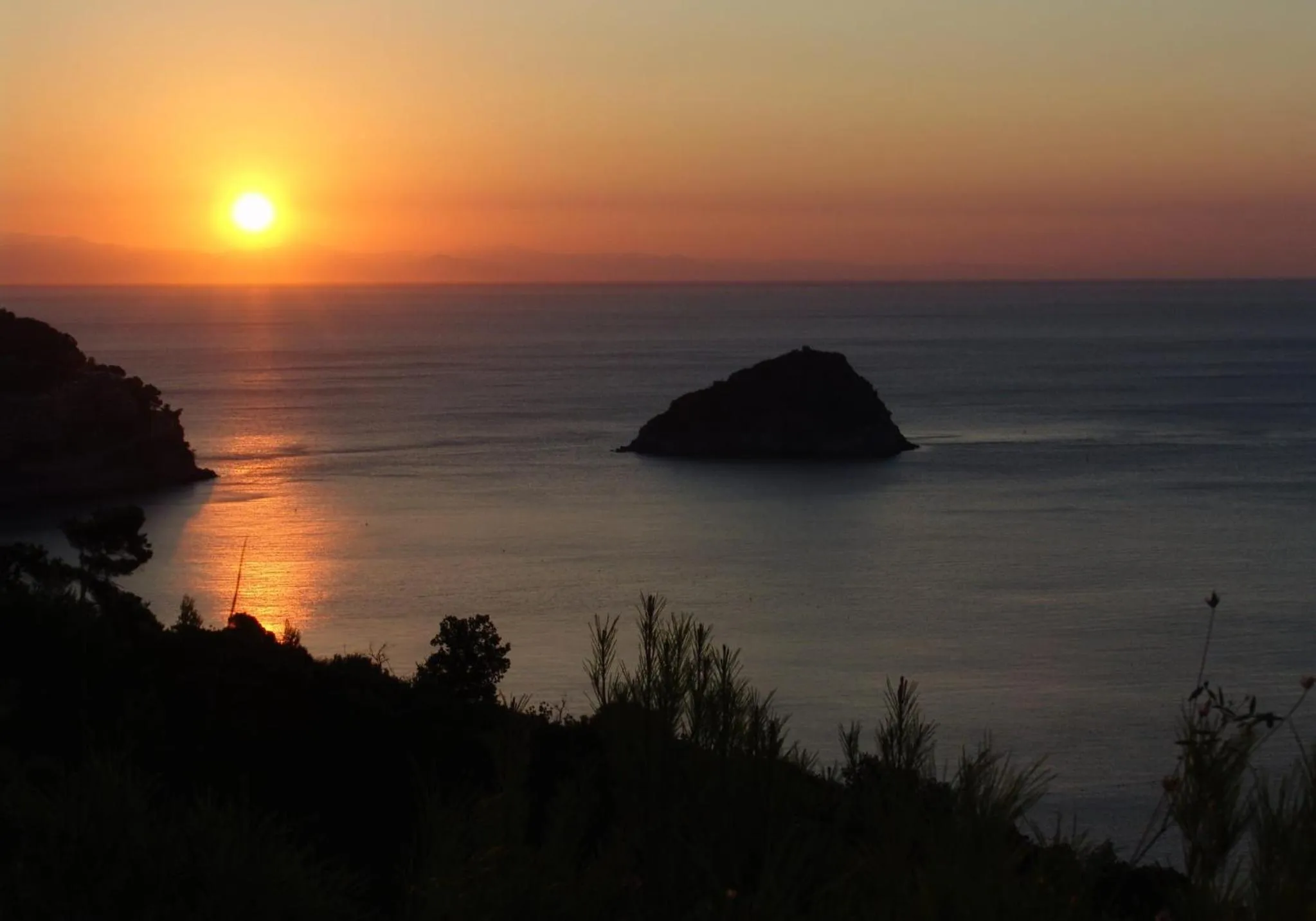 Other in Hotel Mimosa