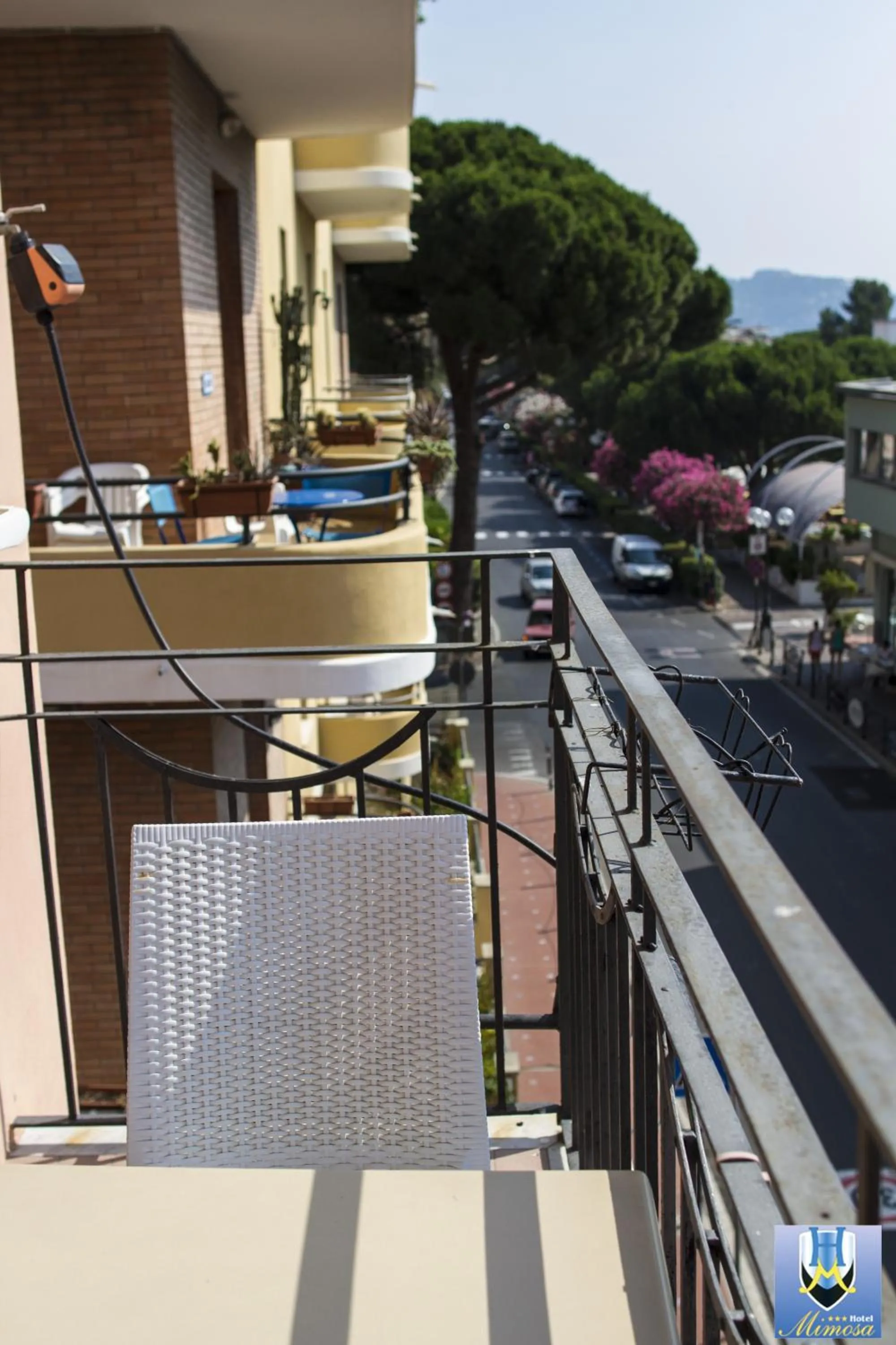 Balcony/Terrace in Hotel Mimosa
