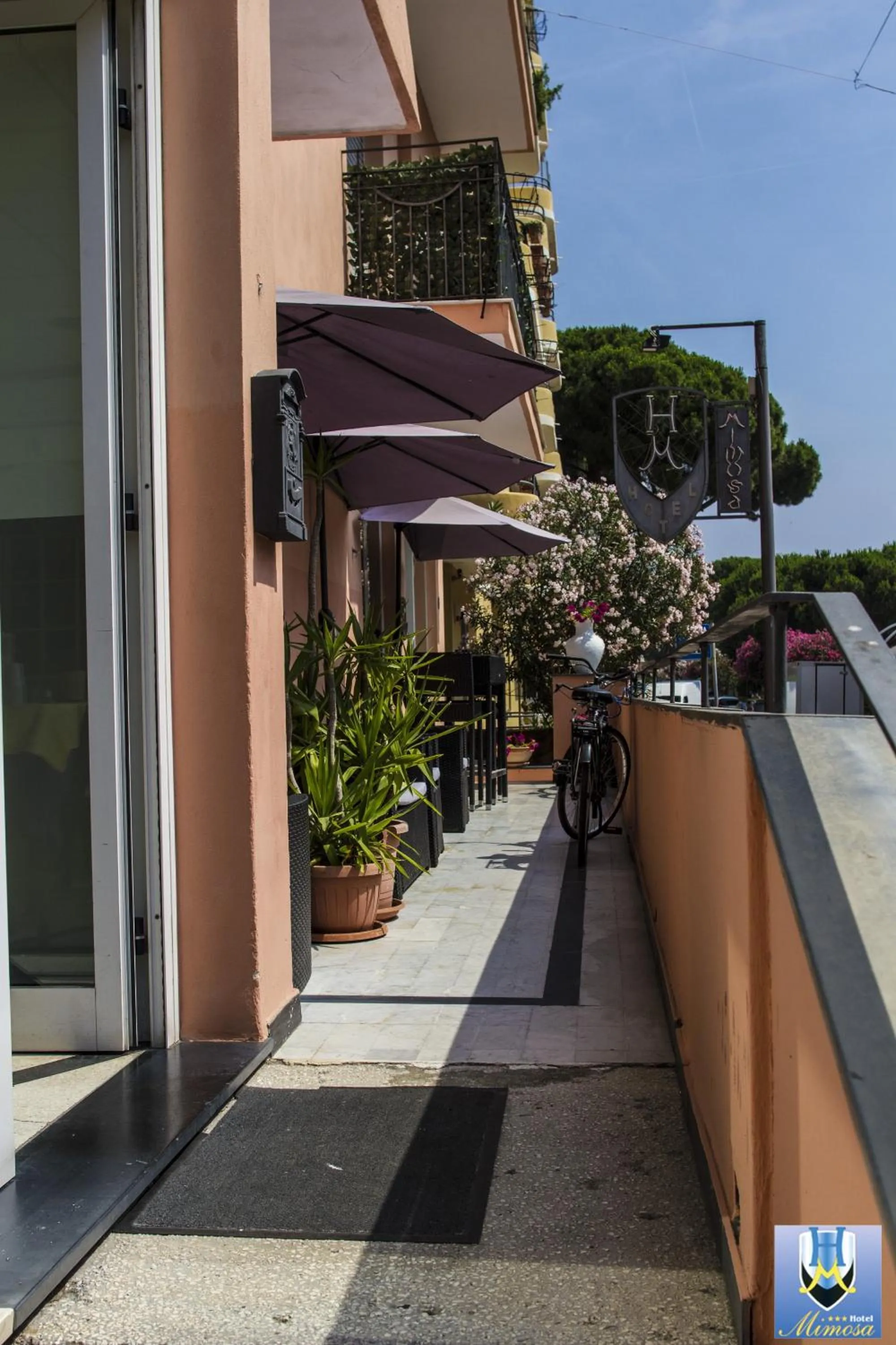 Balcony/Terrace in Hotel Mimosa