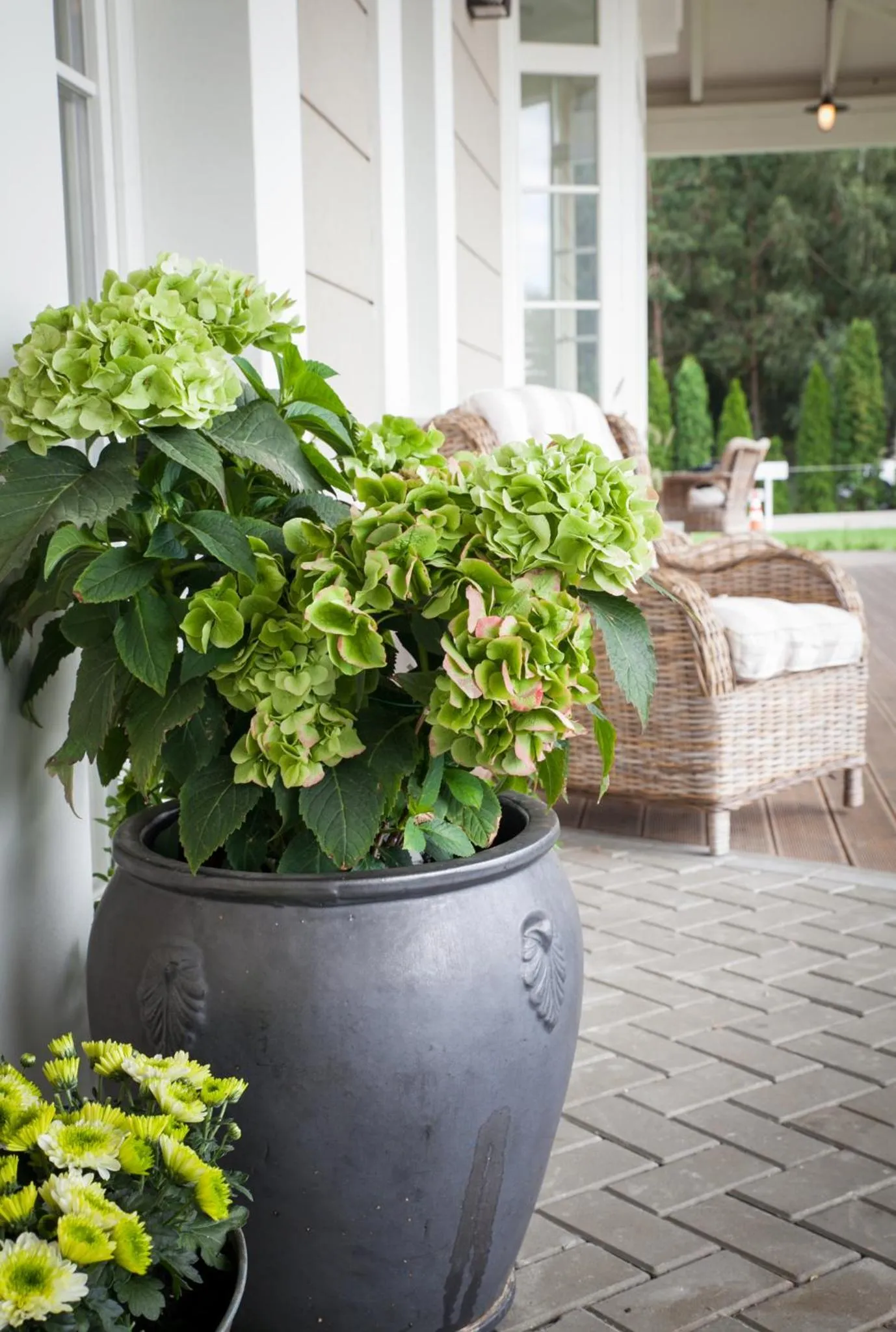Balcony/Terrace in Rezydencja Miętowe Wzgórza Mansion House