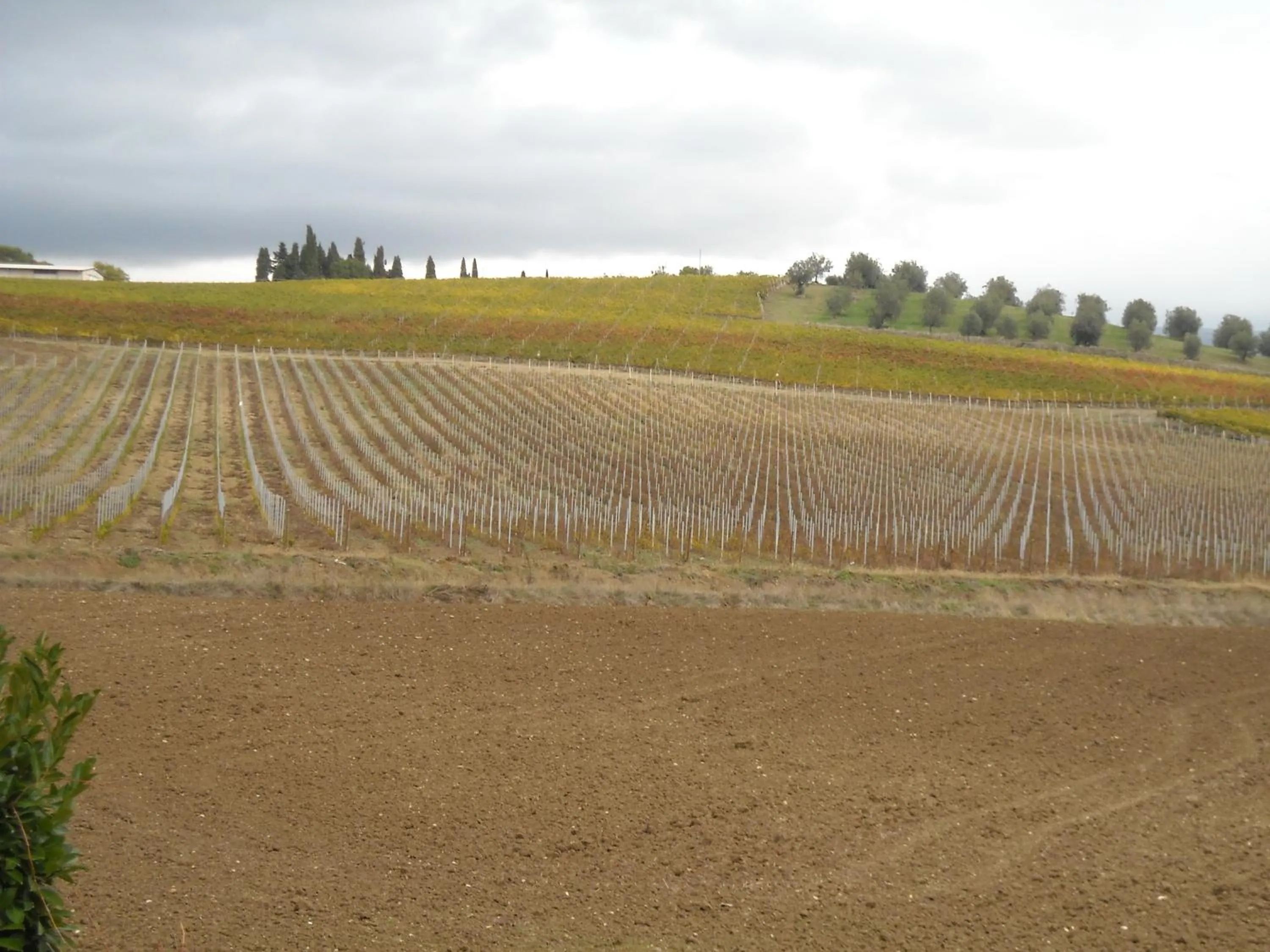 Natural landscape in Casa Vacanze Vecchio Granaio