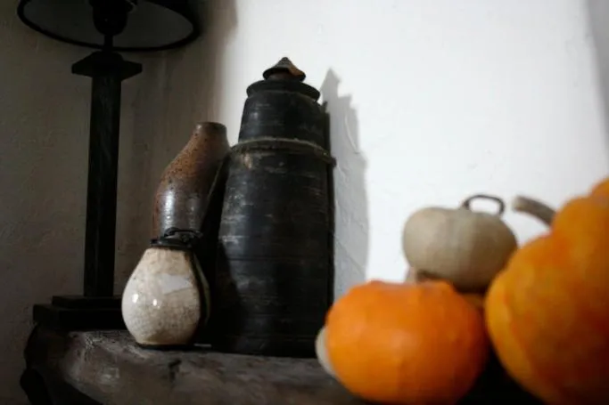 la maison aux bonsais