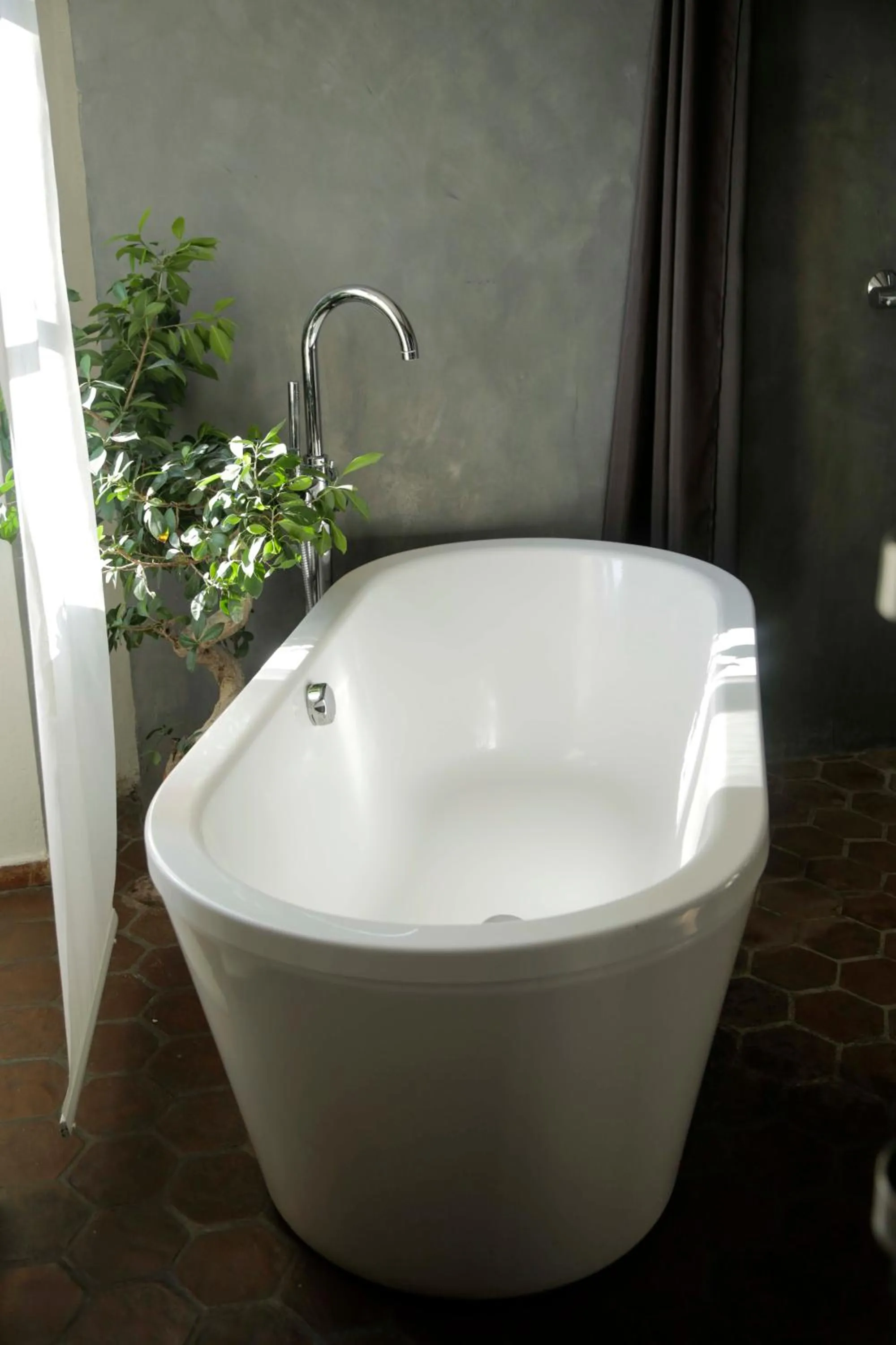 la maison aux bonsais