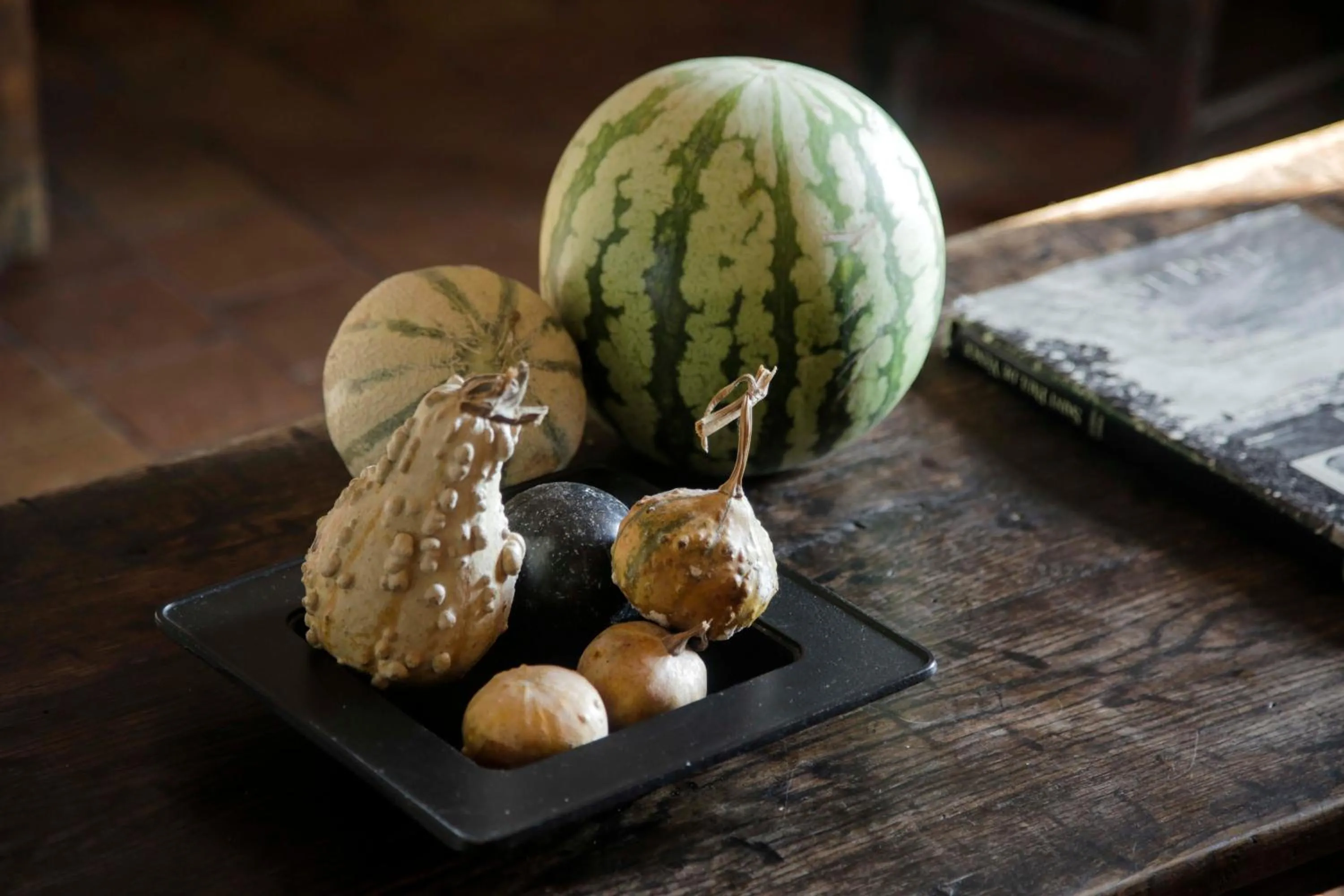 la maison aux bonsais