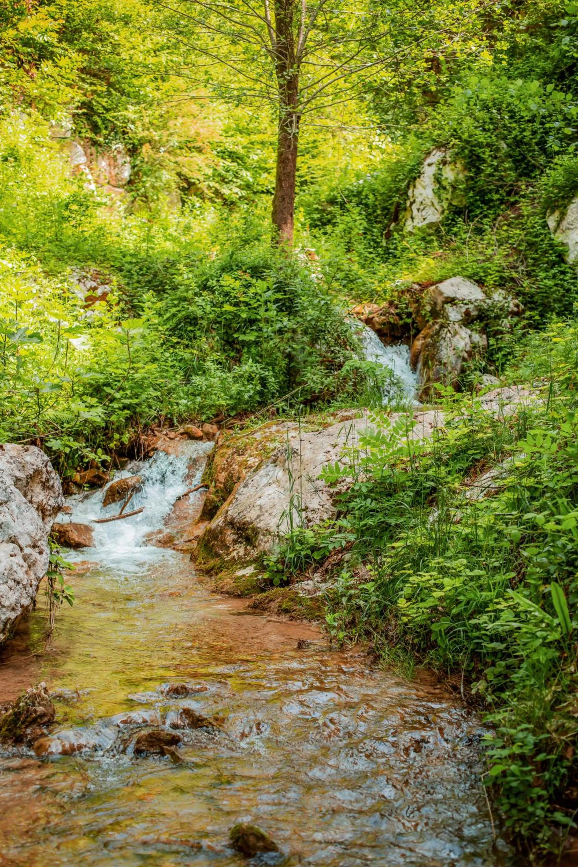 Natural landscape in La Fontanina