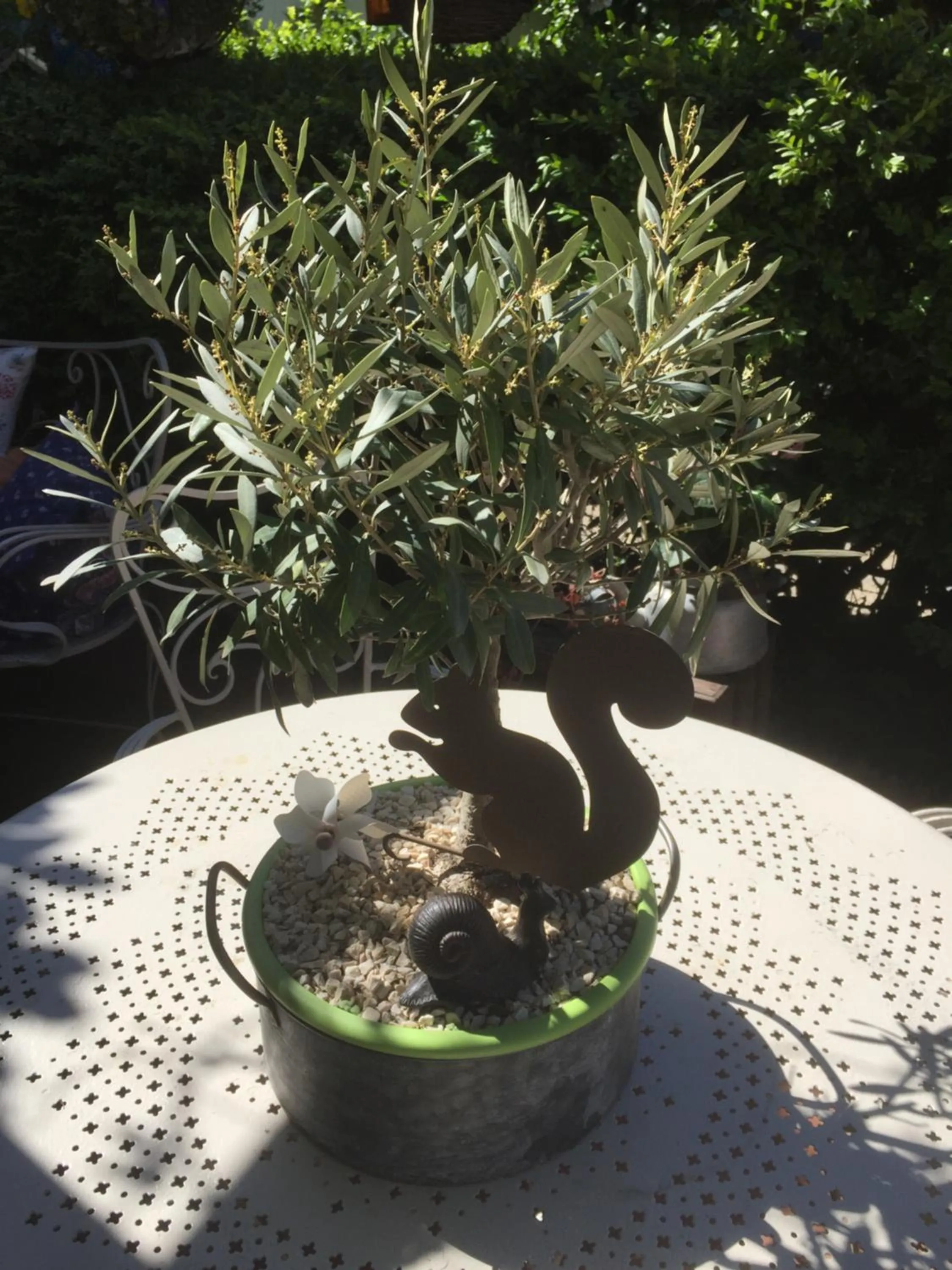 Hotel Le Méditérranée