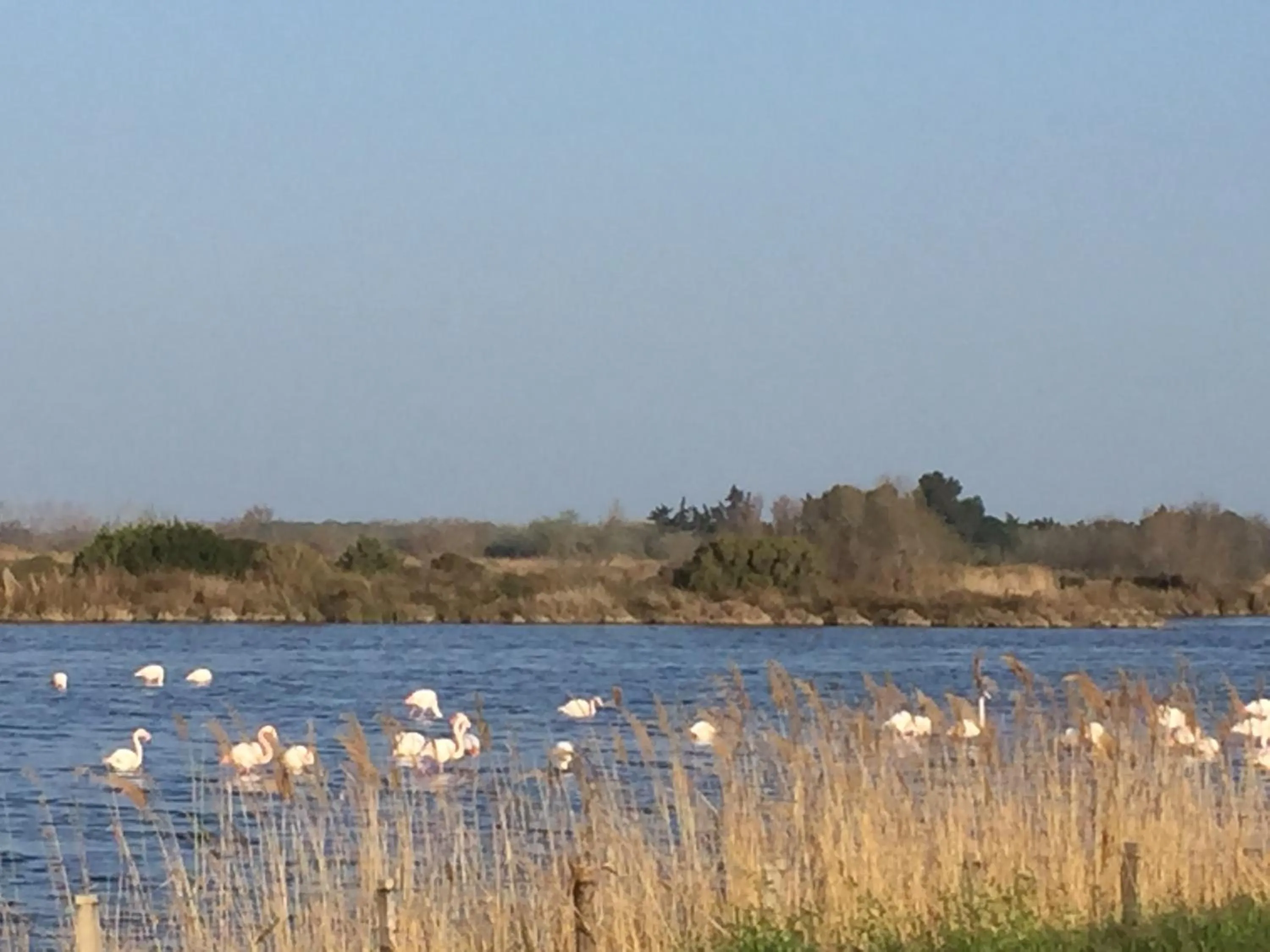 Hotel Le Méditérranée
