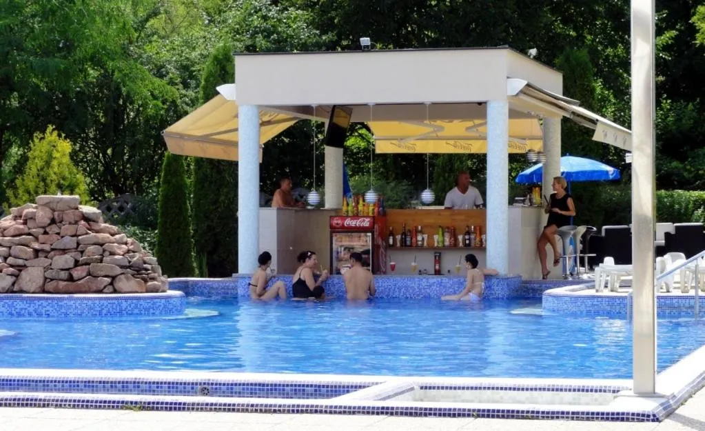 Swimming pool in Hotel Villa Völgy Wellness & Konferencia