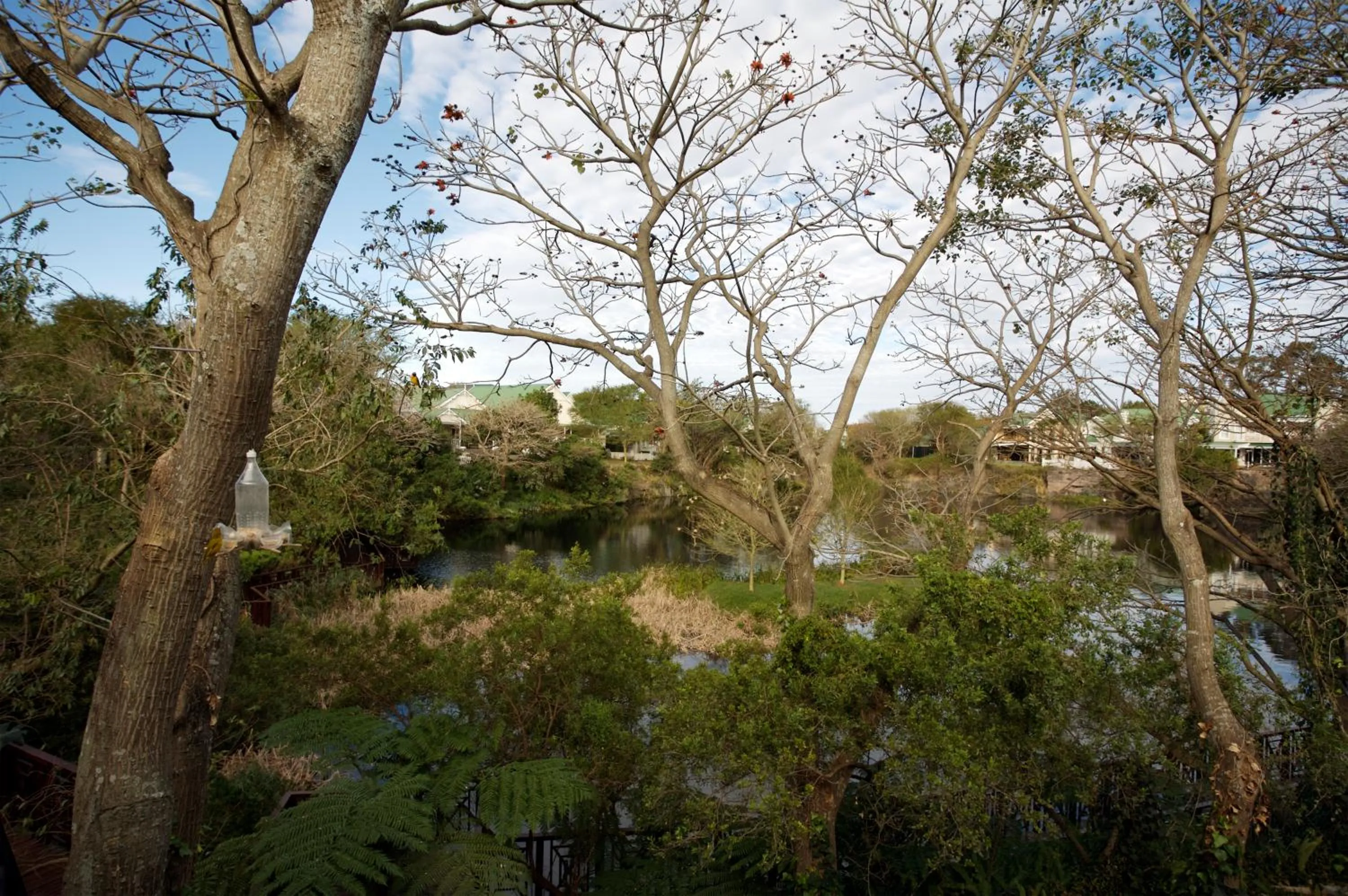 Garden in Quarry Lake Inn