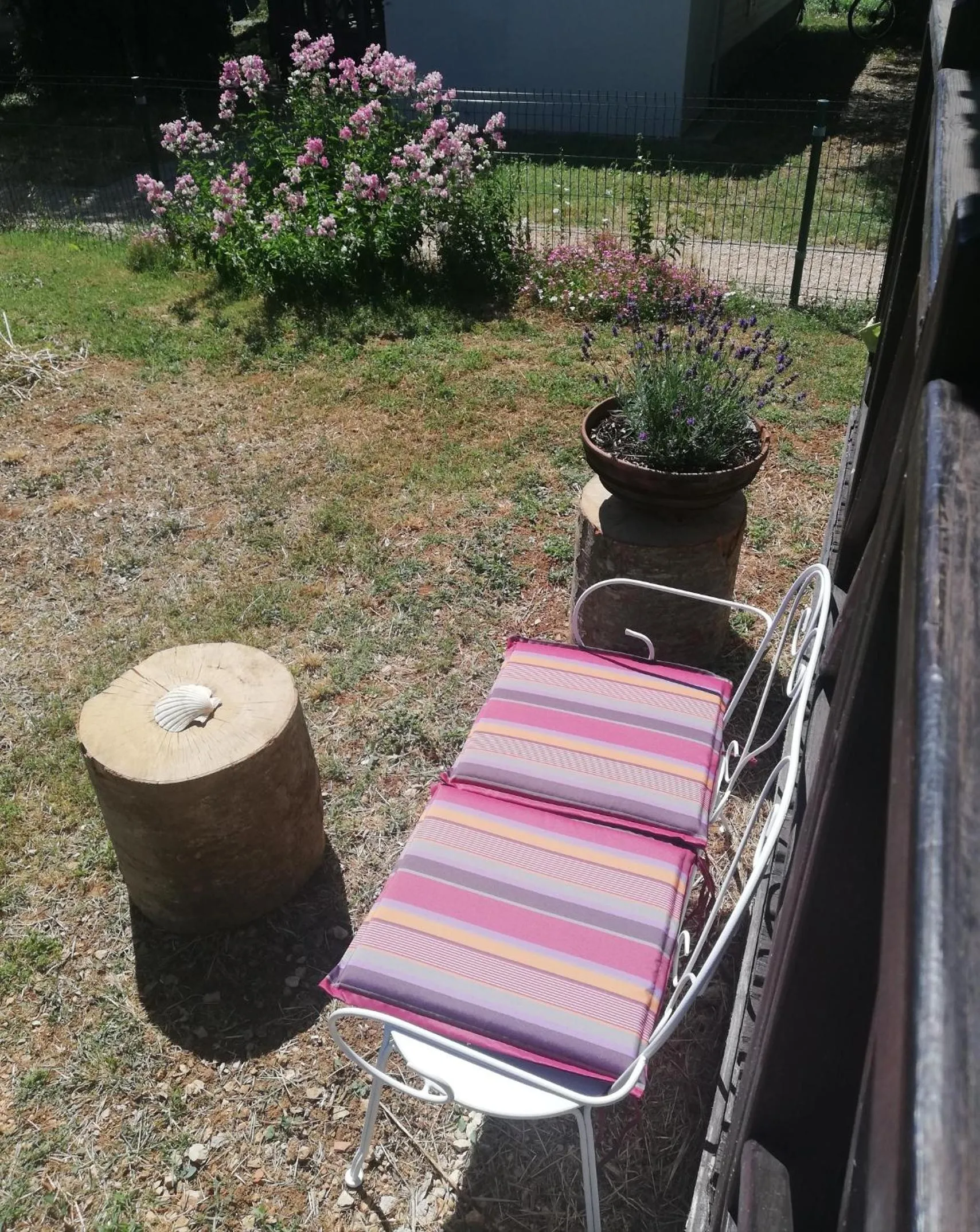 View (from property/room) in Petra's garden