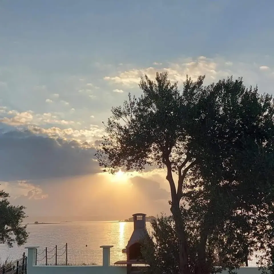 Petra's garden Petra's garden