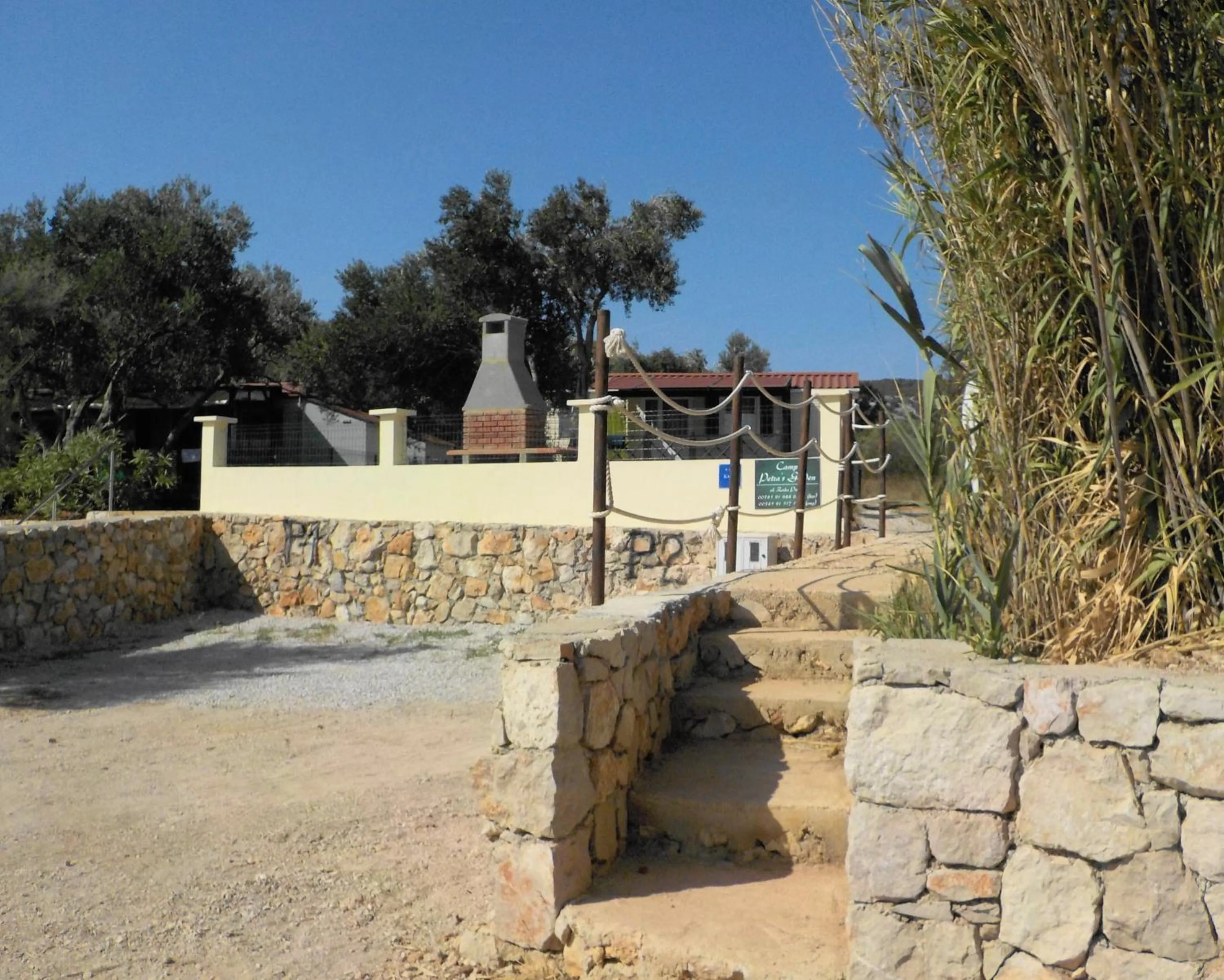 Off site in Petra's garden