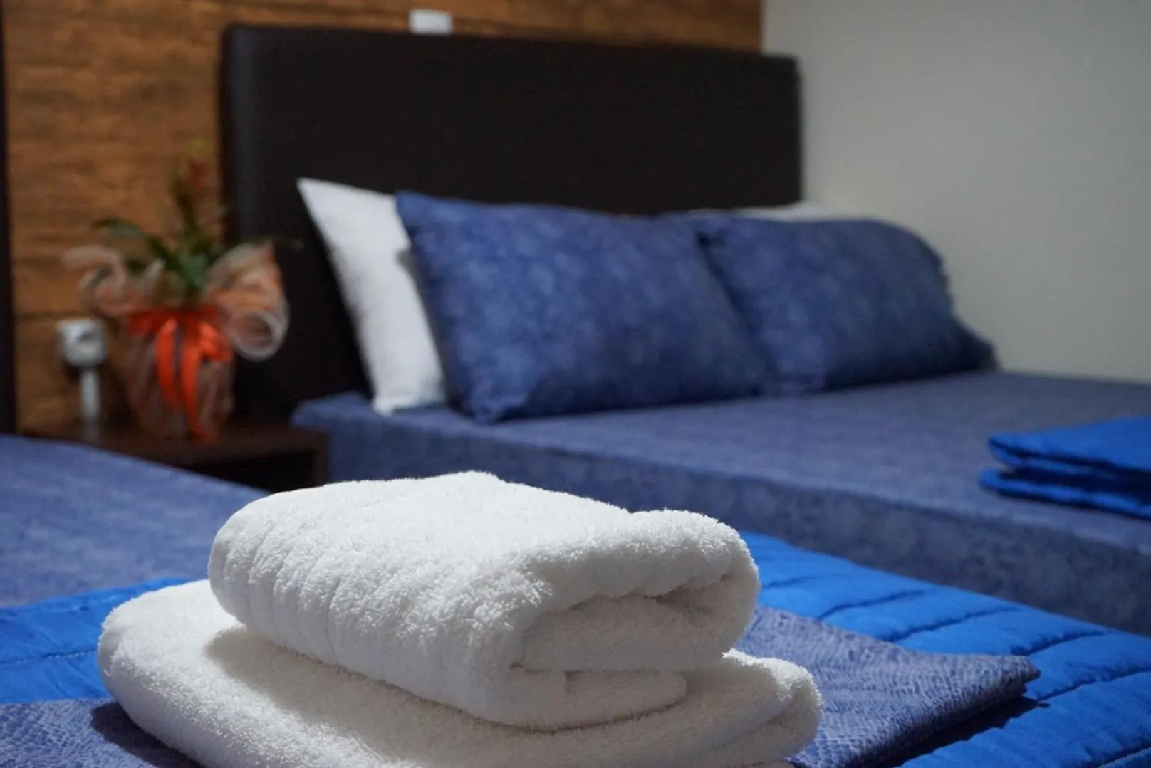 bunk bed in Orpheus Hotel