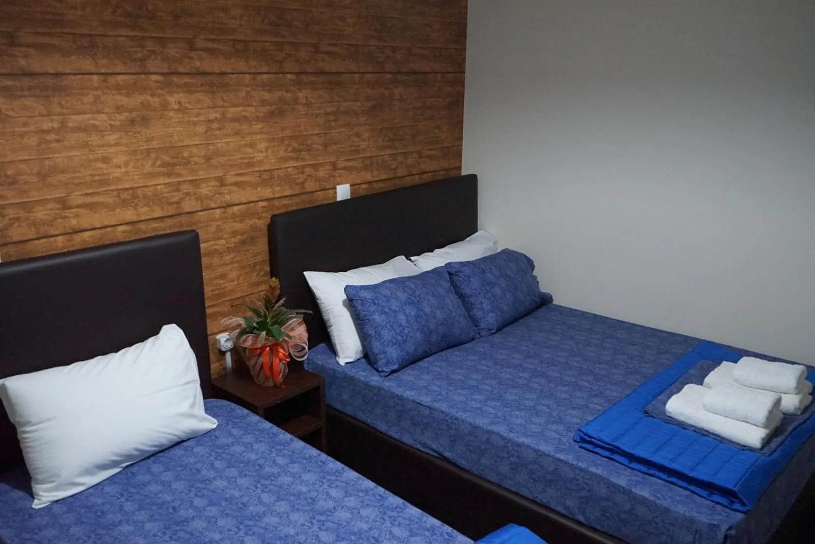 bunk bed in Orpheus Hotel