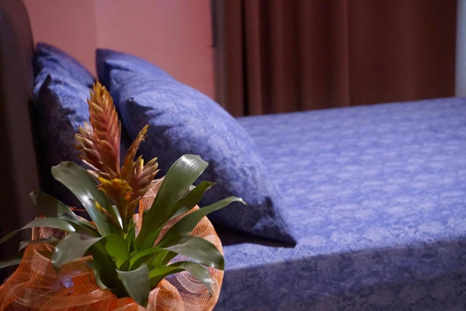 bunk bed in Orpheus Hotel