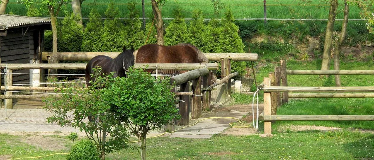 Animals in Hotel Restaurant Huxmühle