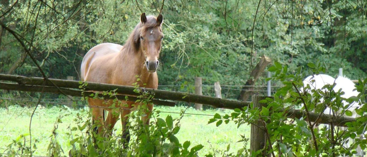 Animals in Hotel Restaurant Huxmühle