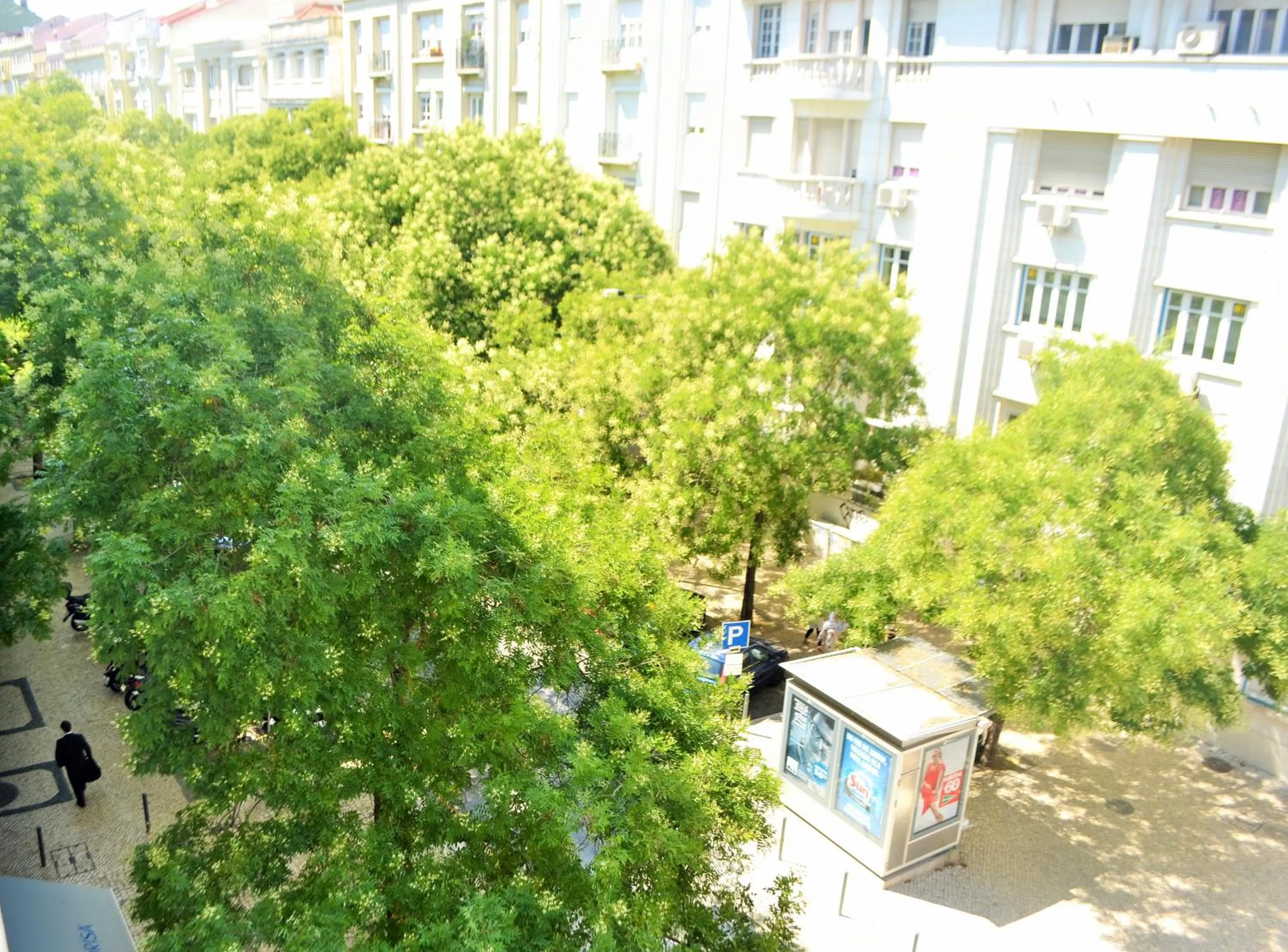 Street view in Feeling Eduardo VII