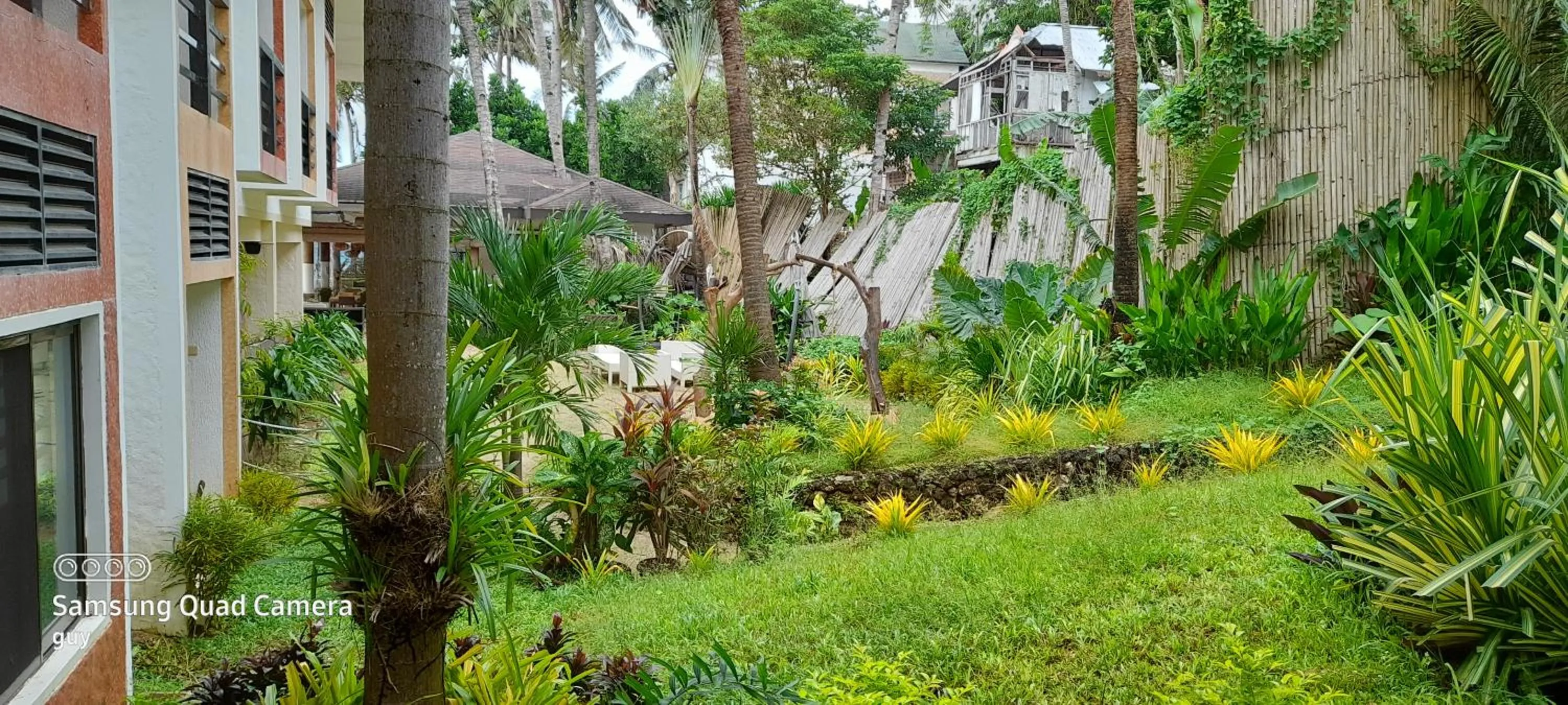 Natural landscape in Microtel by Wyndham Boracay