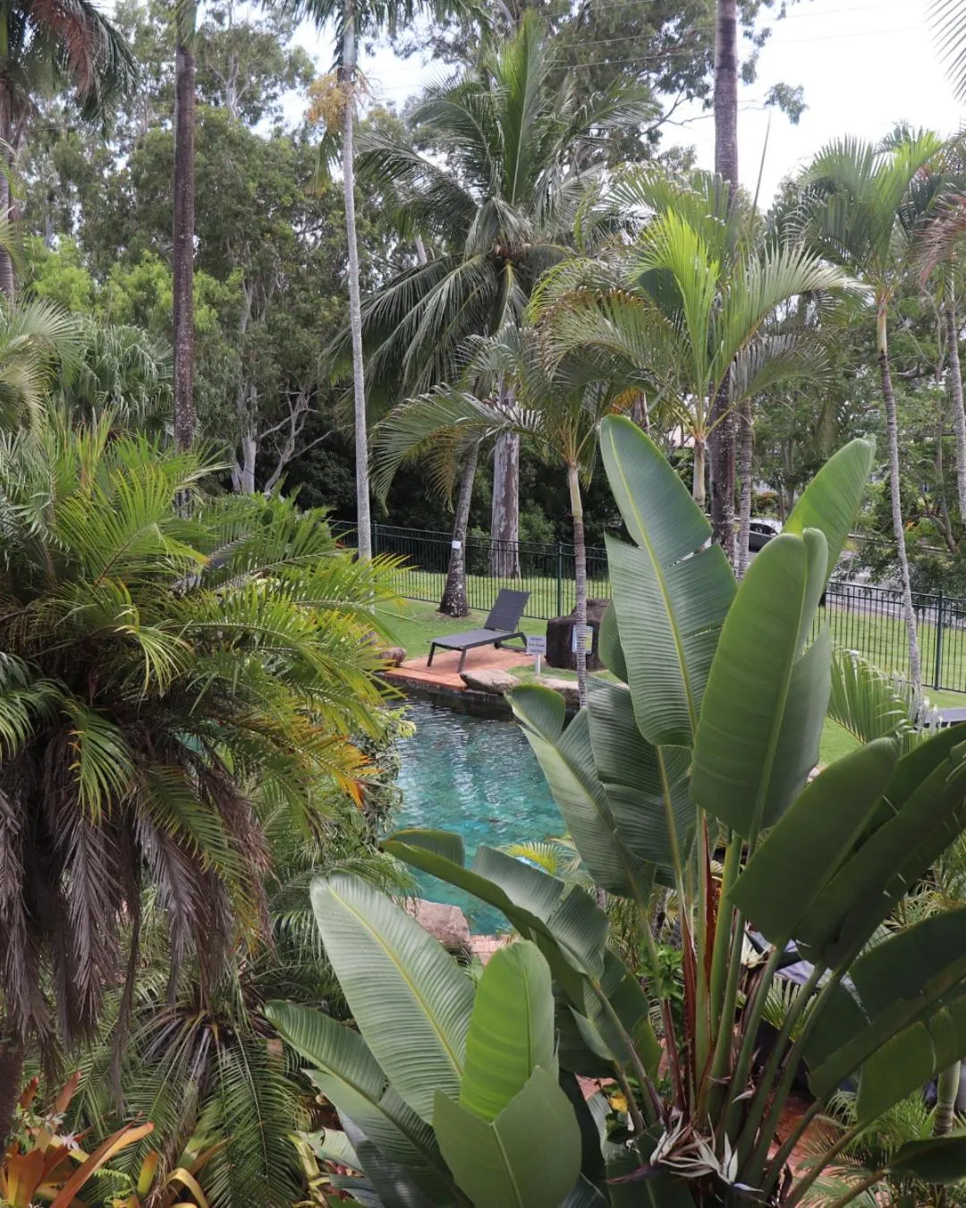 Garden view in Colonial Palms Motor Inn